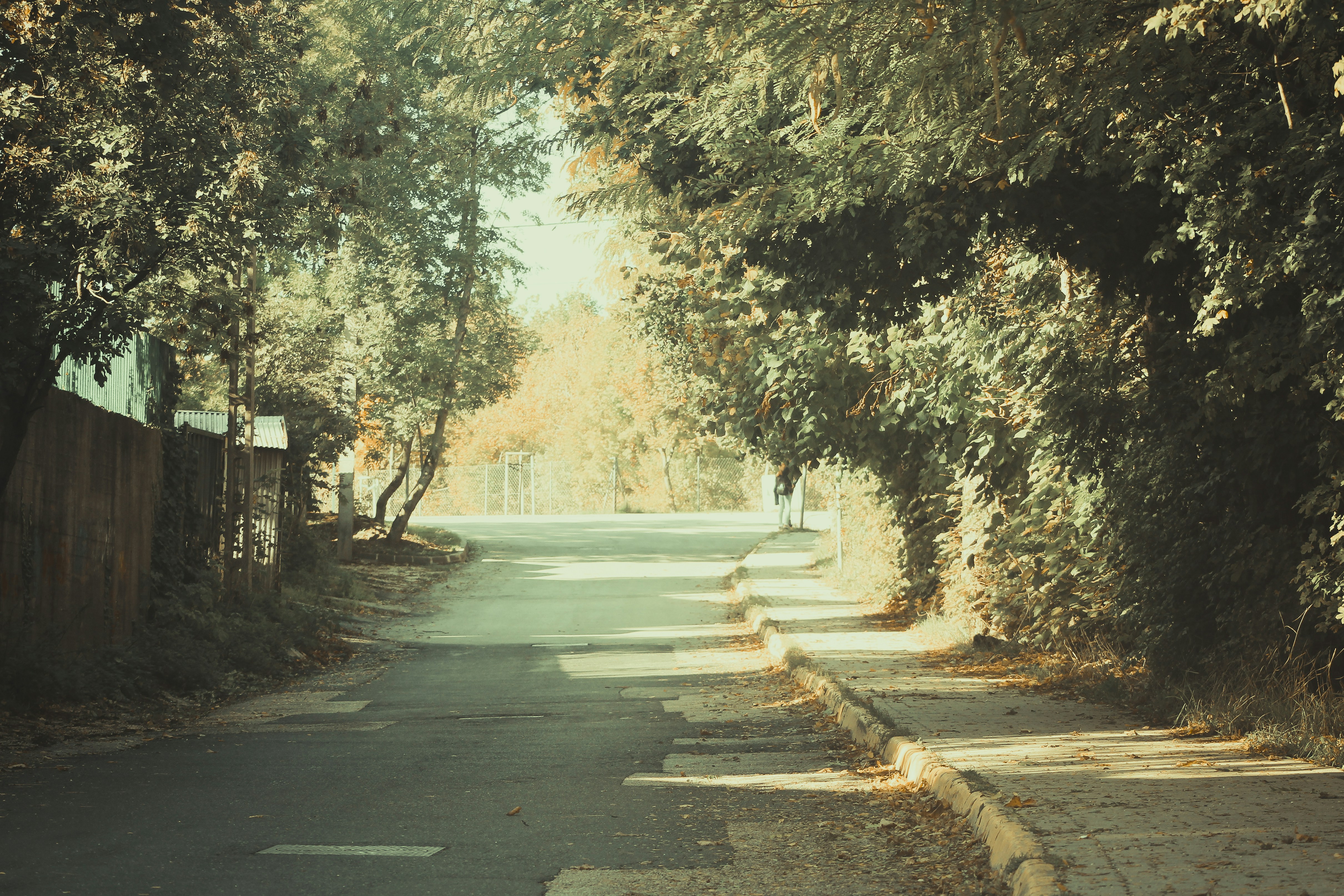 Photo by umairaliasad