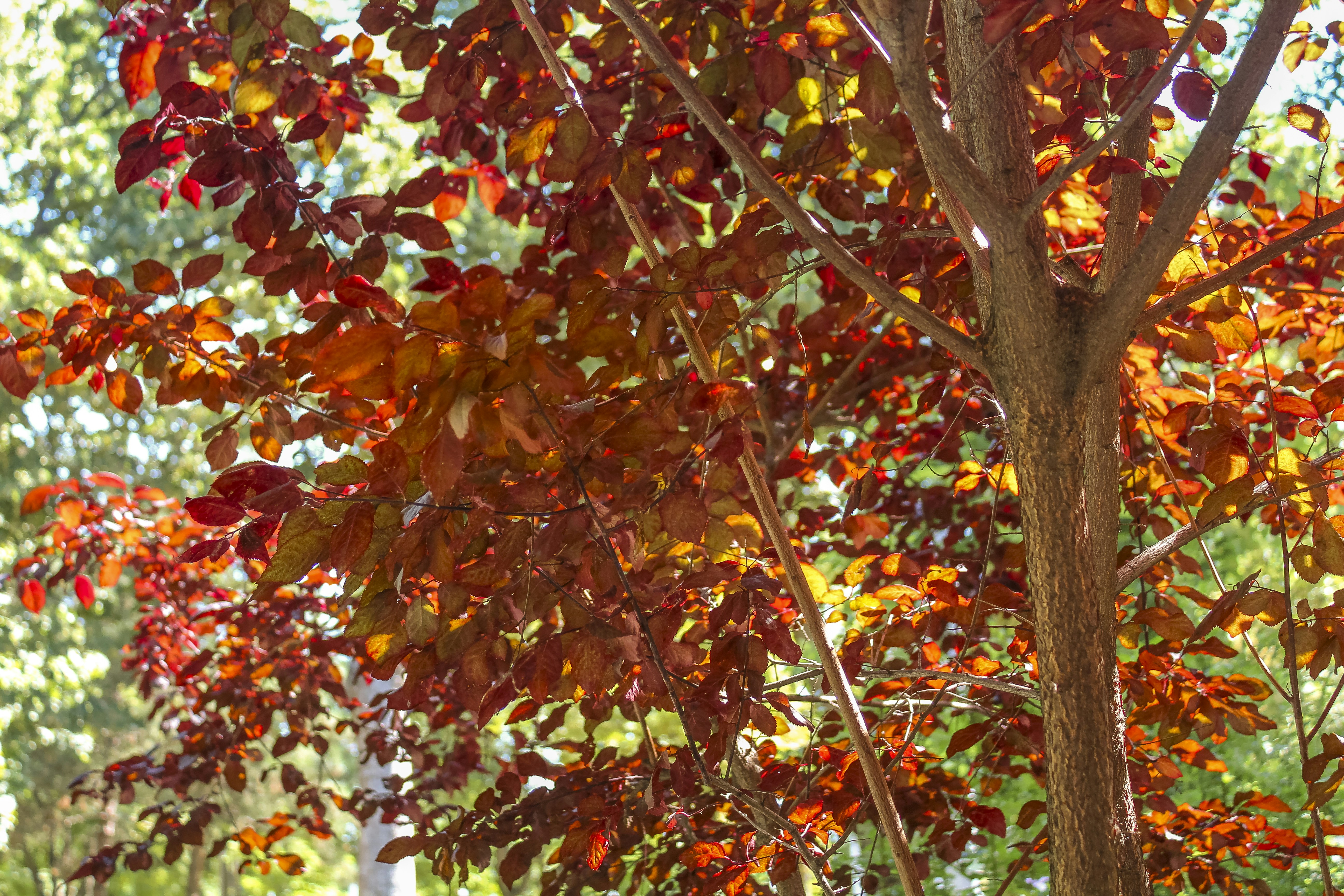 Photo by umairaliasad