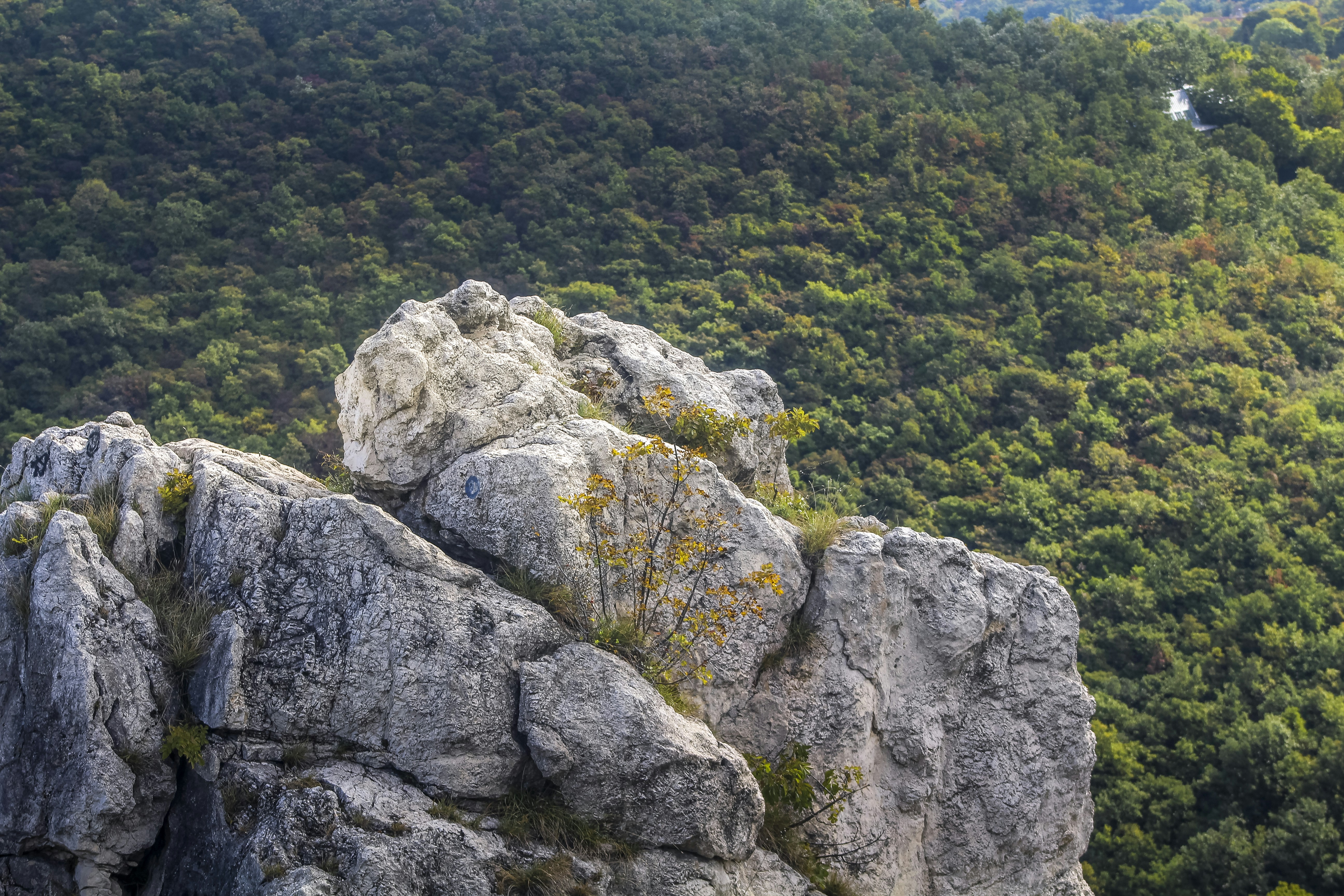 Photo by umairaliasad