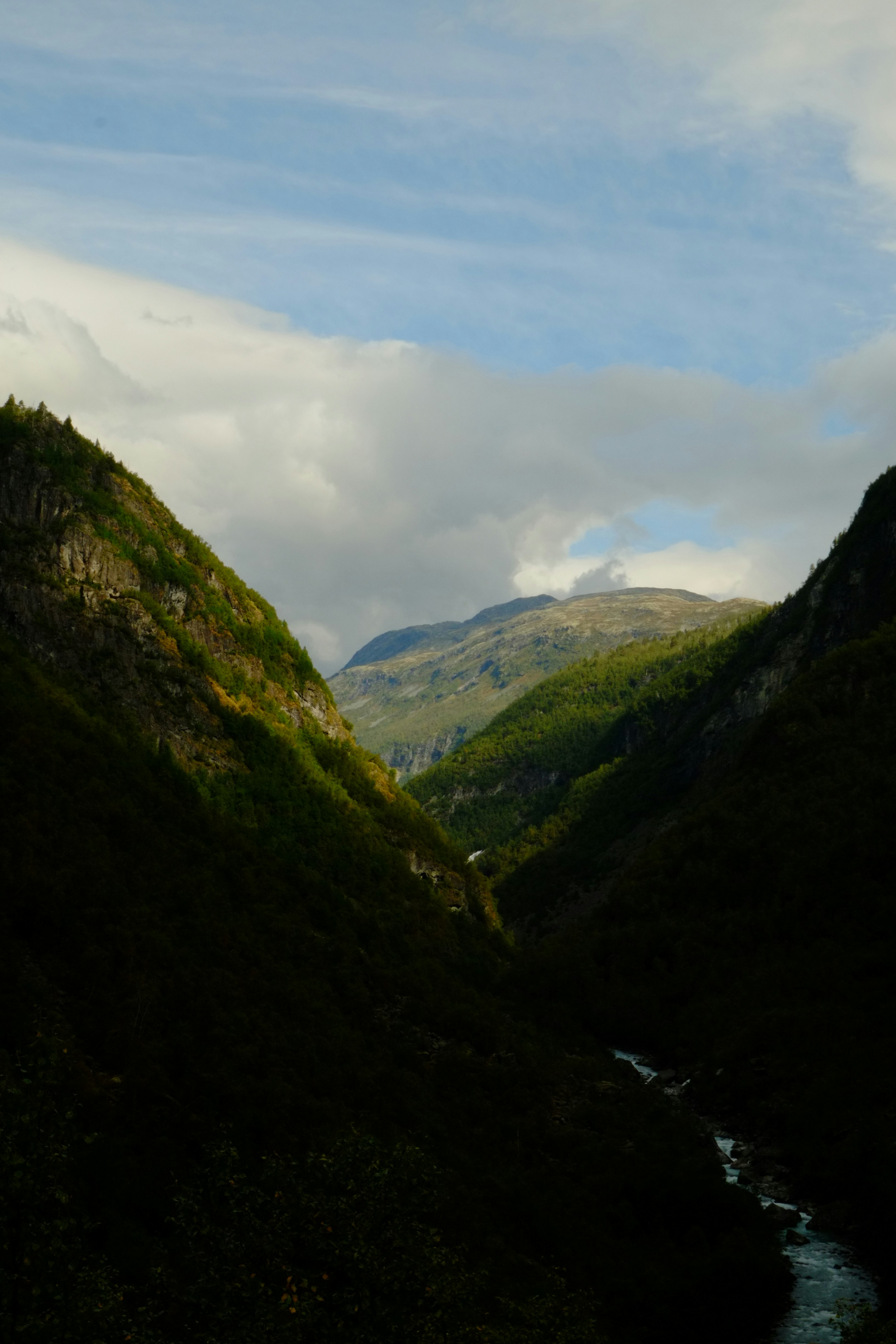 Photo by bernhardbar