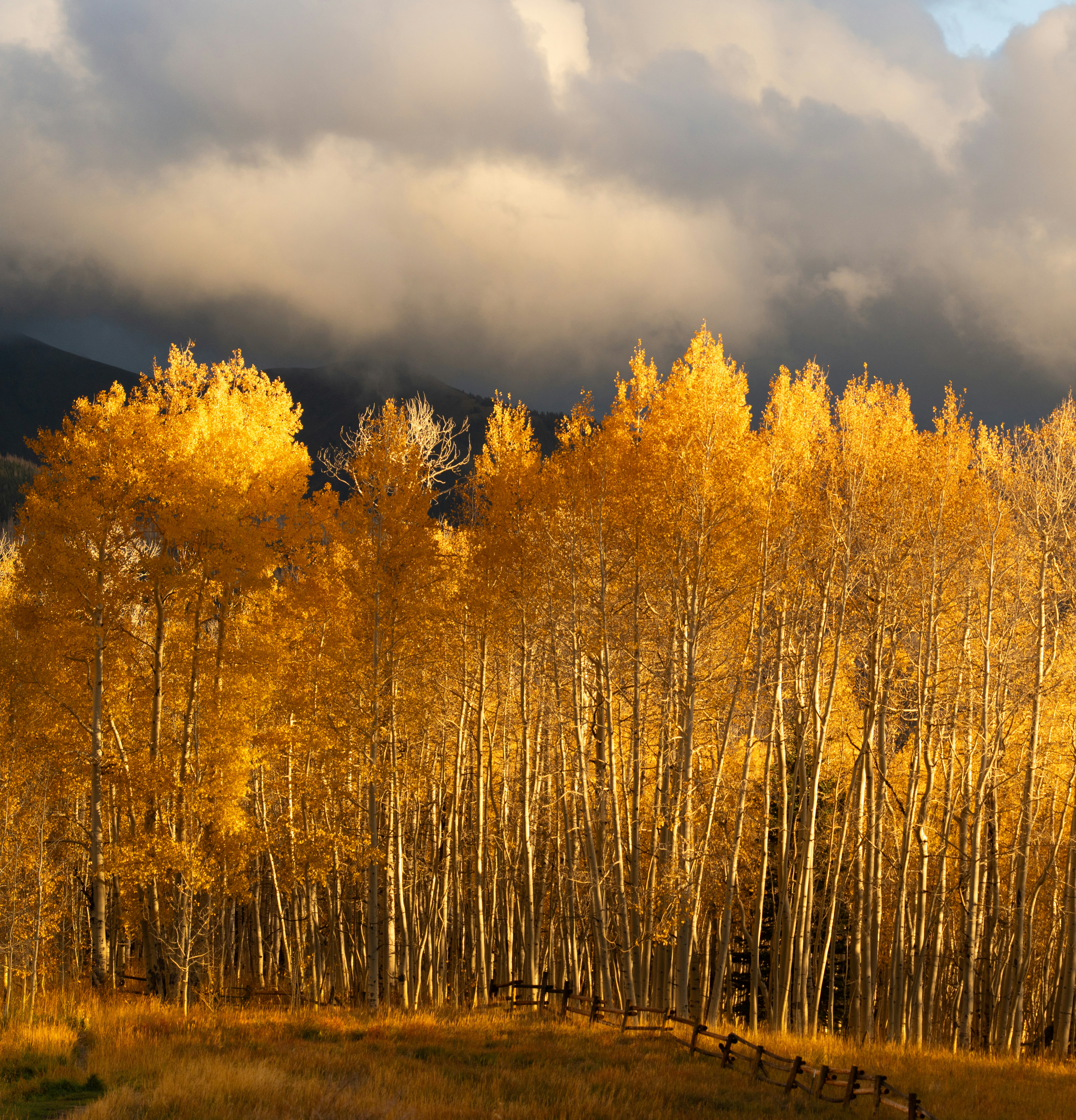 Photo by alexmoliski