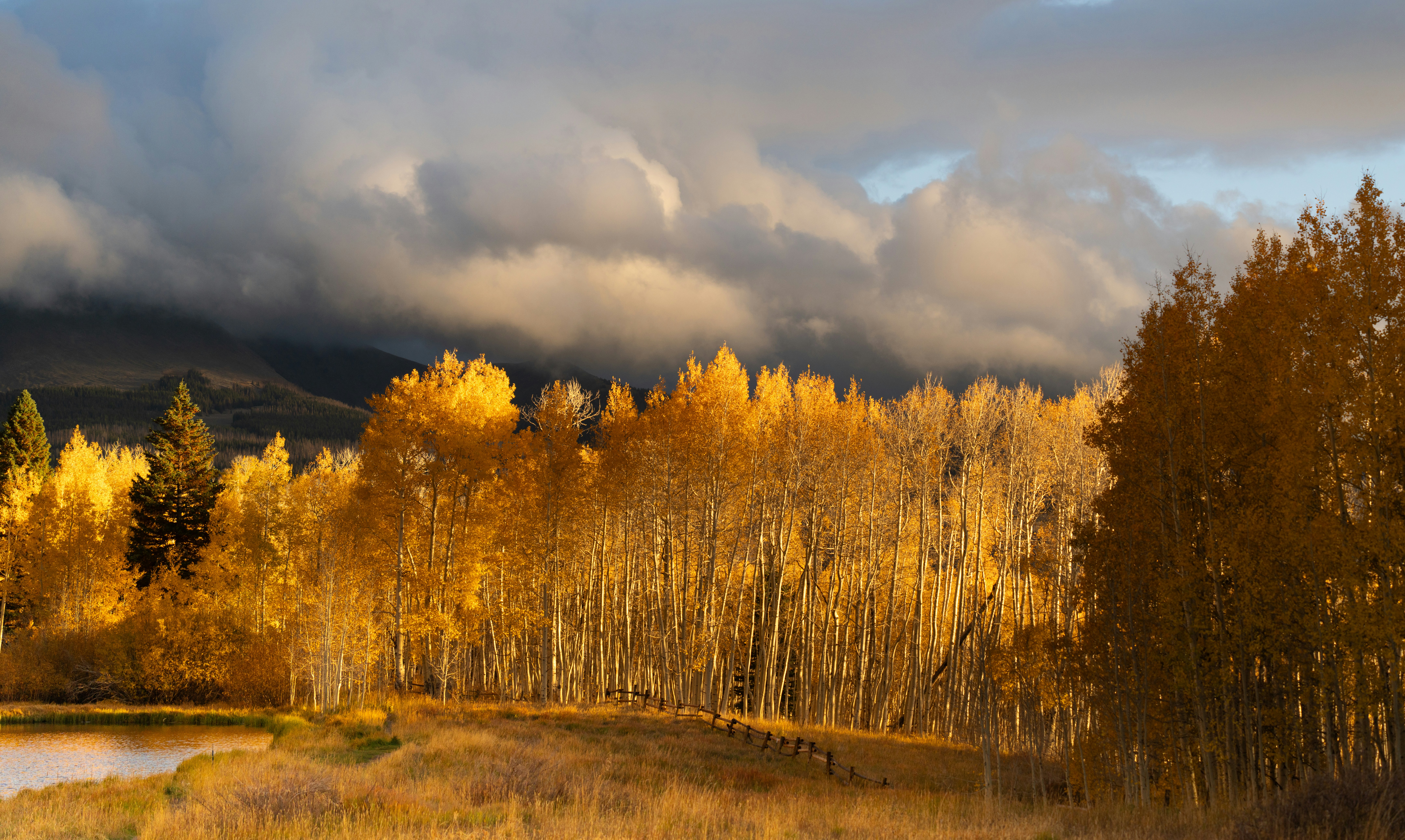 Photo by alexmoliski