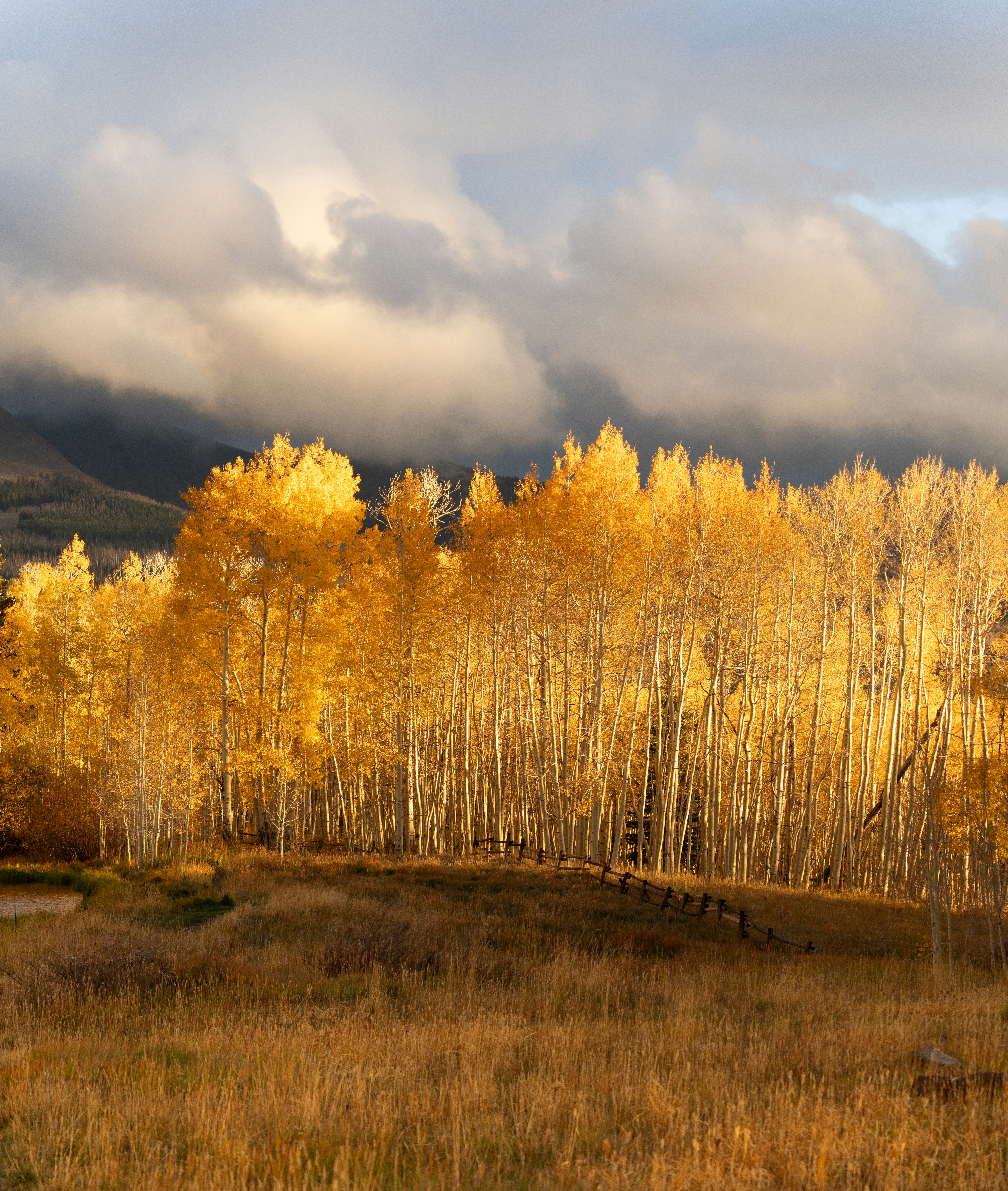 Aspen Grove, Utah
