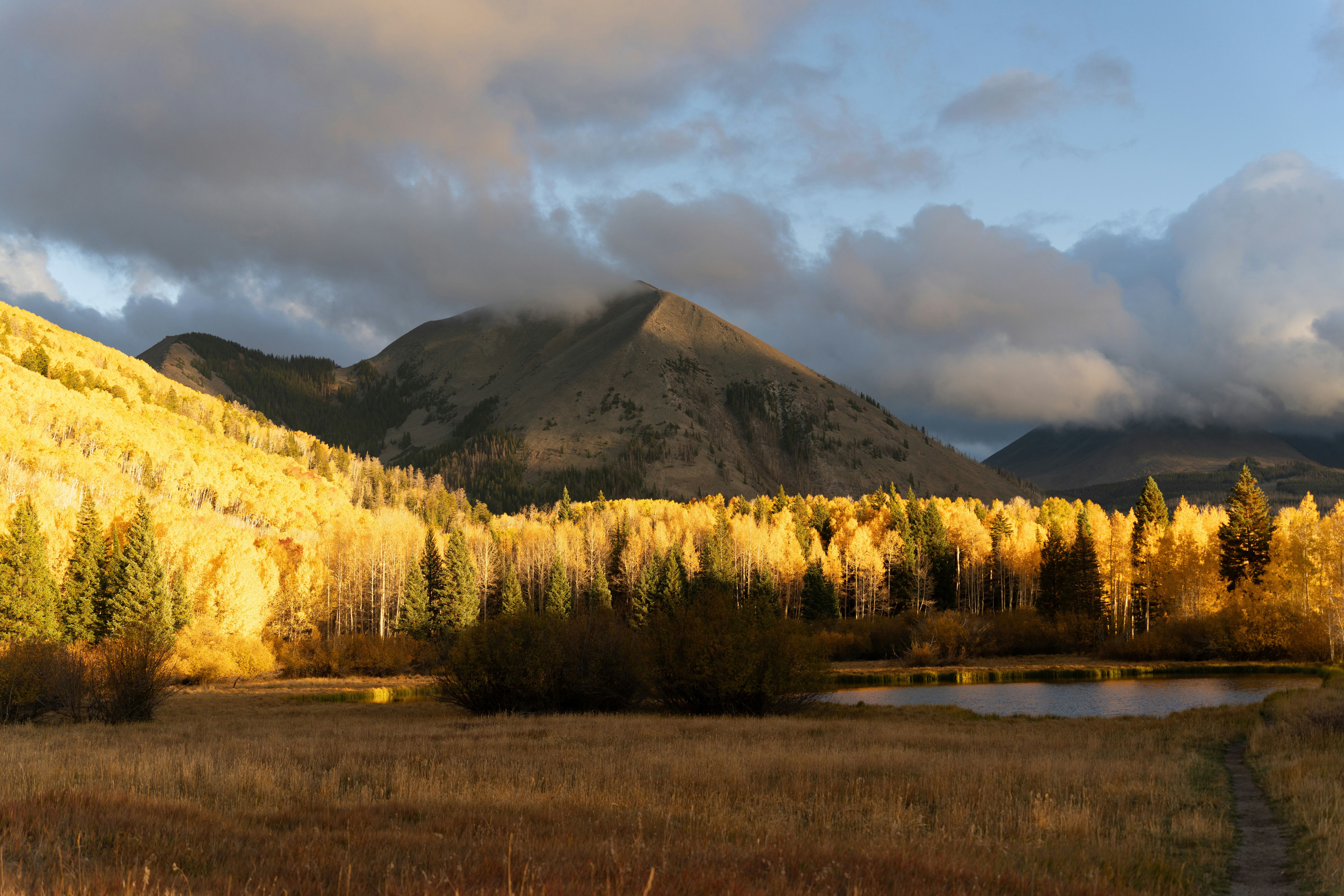 Photo by alexmoliski