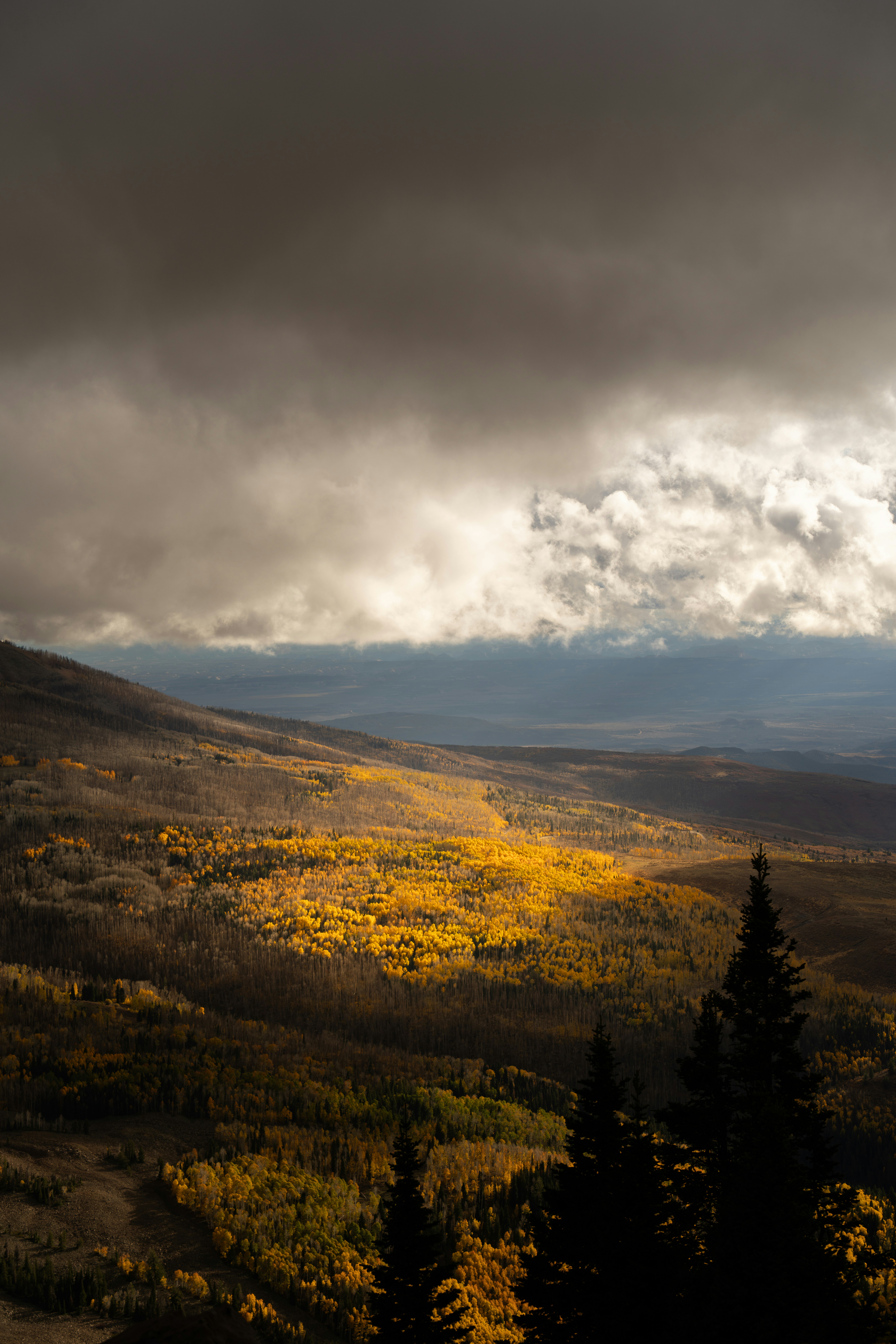 Photo by alexmoliski