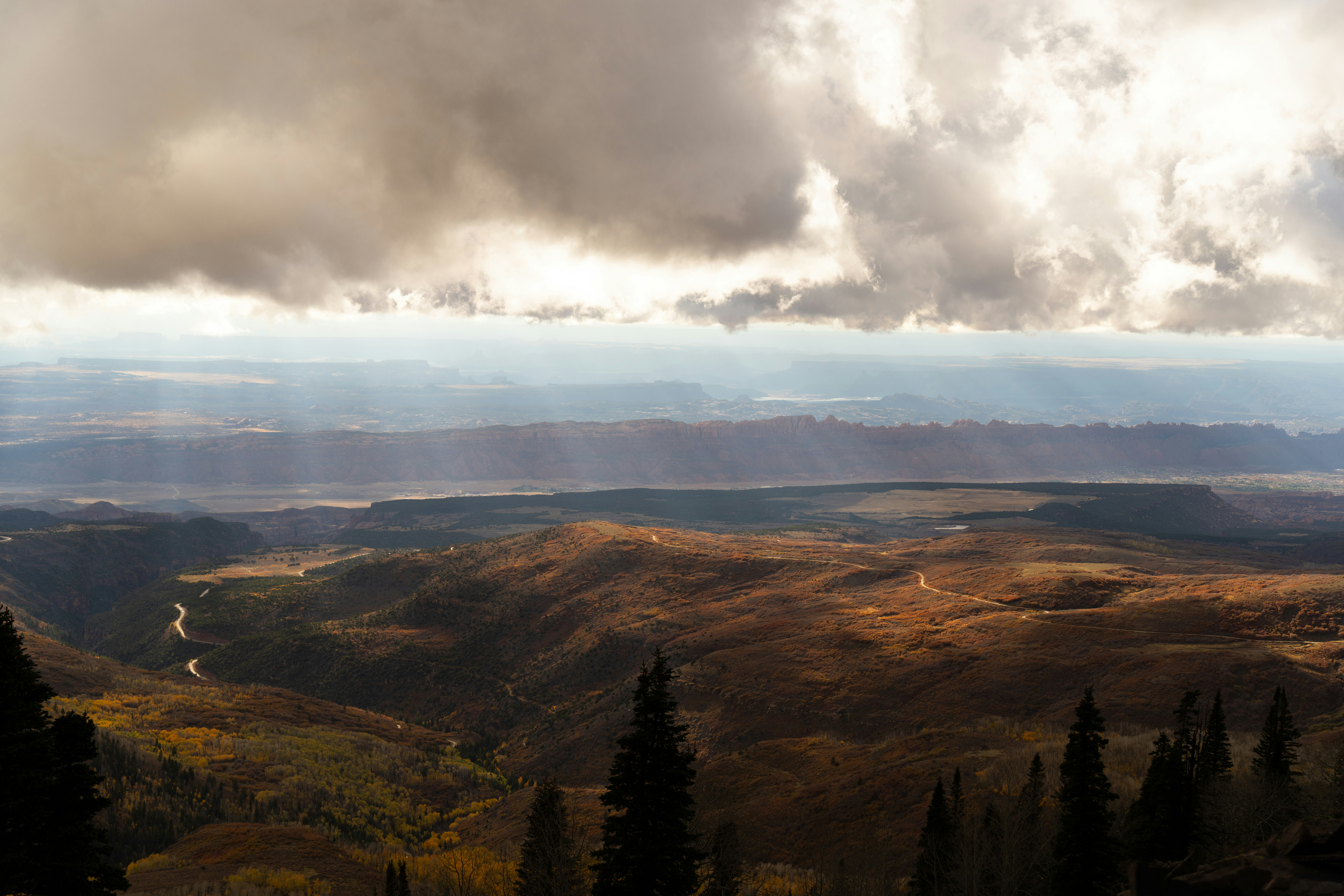 Photo by alexmoliski