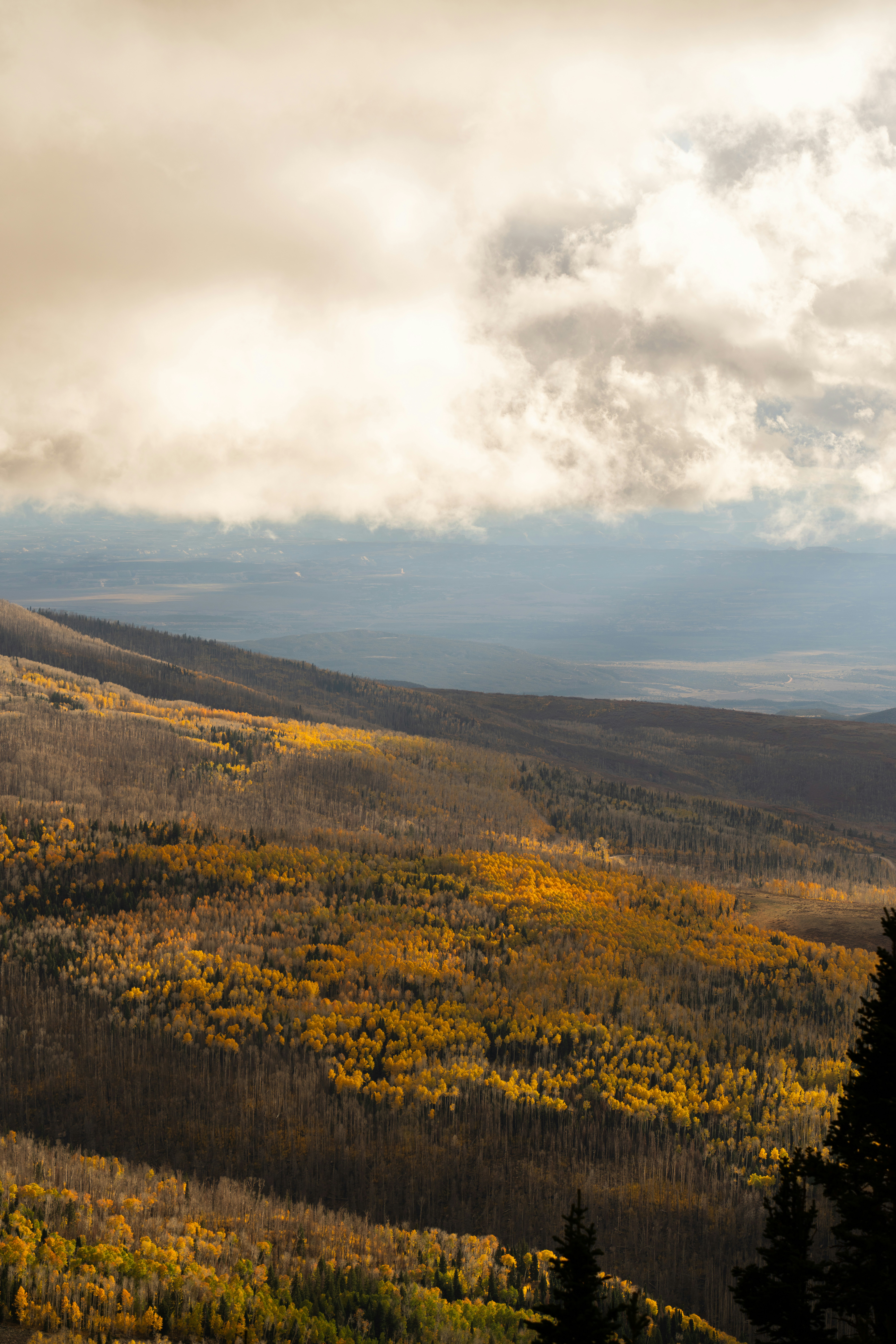 Photo by alexmoliski