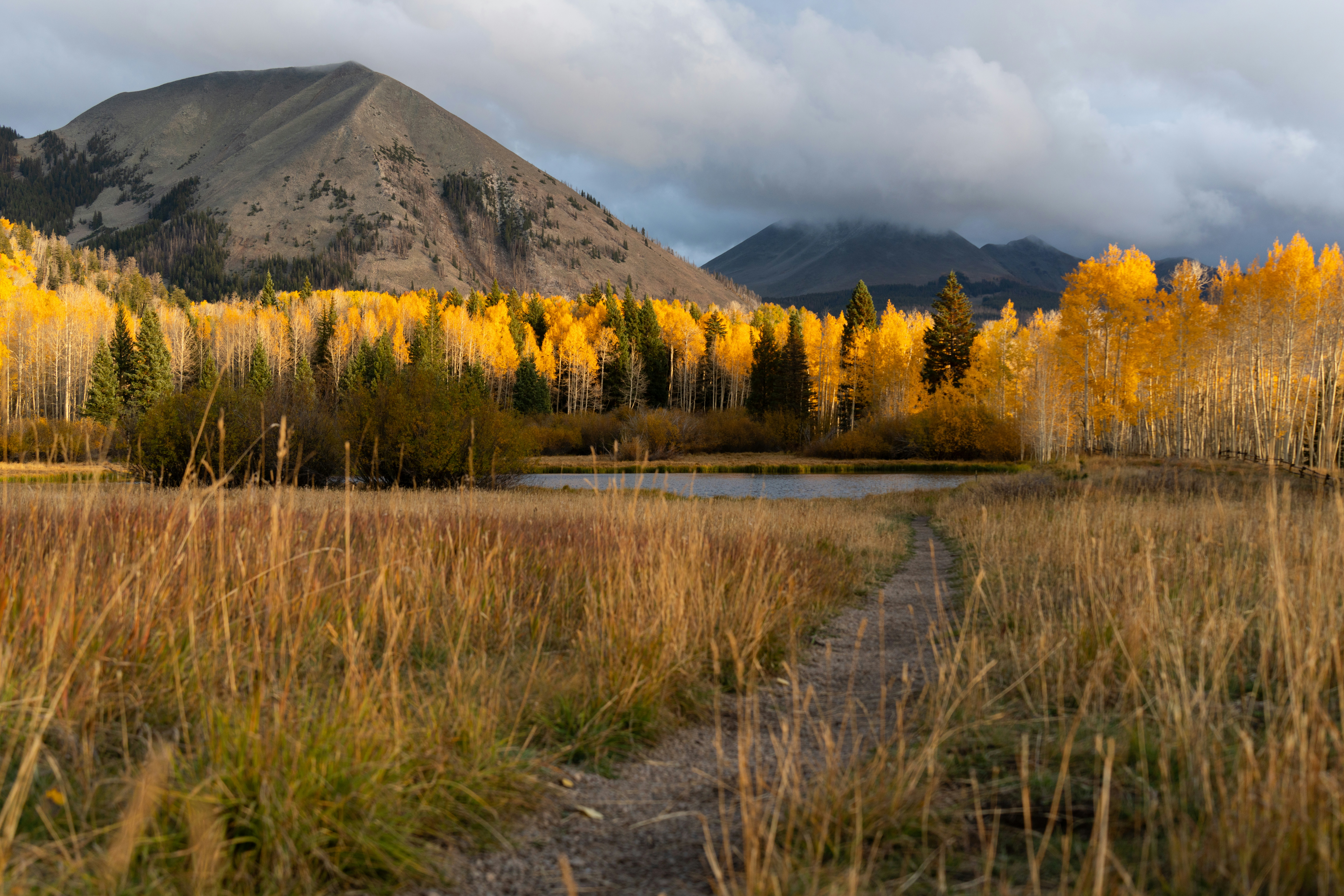 Photo by alexmoliski