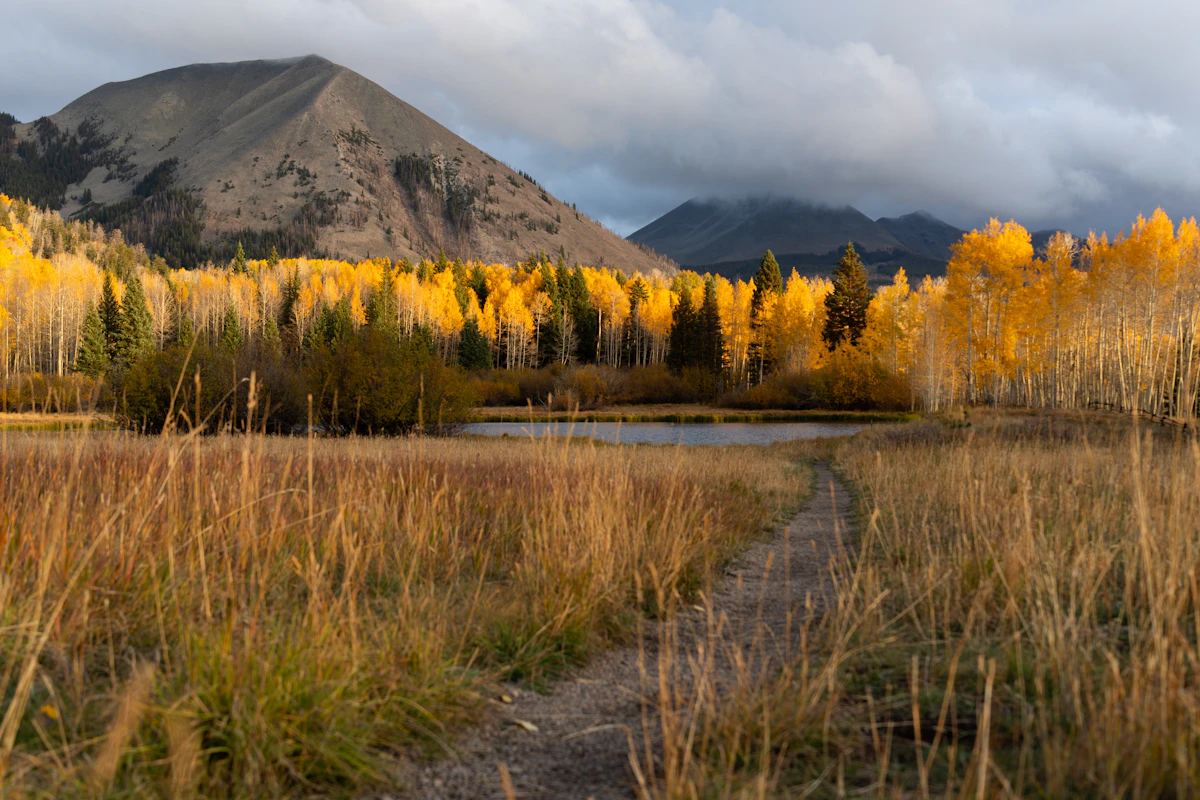photo by Alex Moliski (@alexmoliski) on unsplash