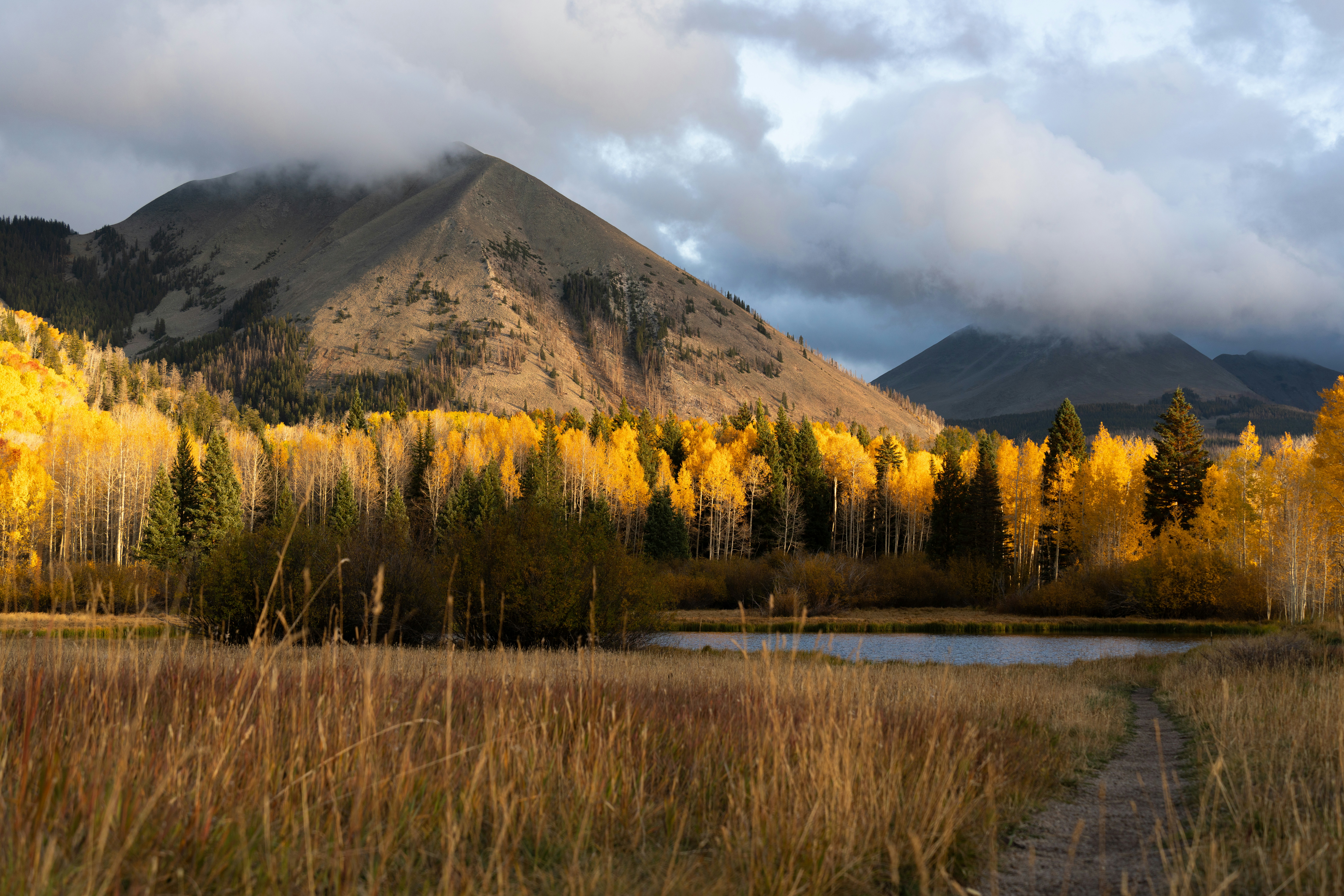 Photo by alexmoliski