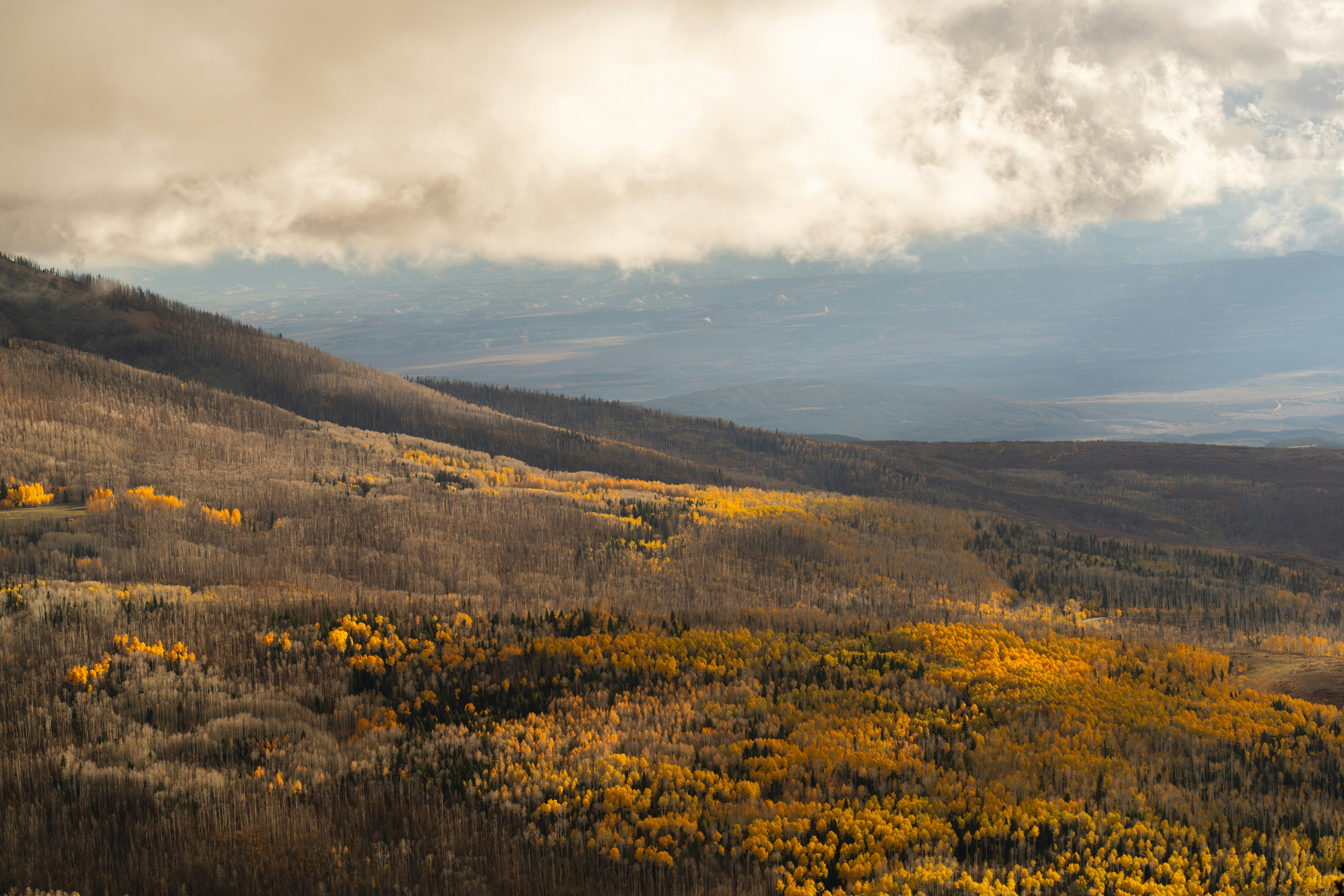 Photo by alexmoliski