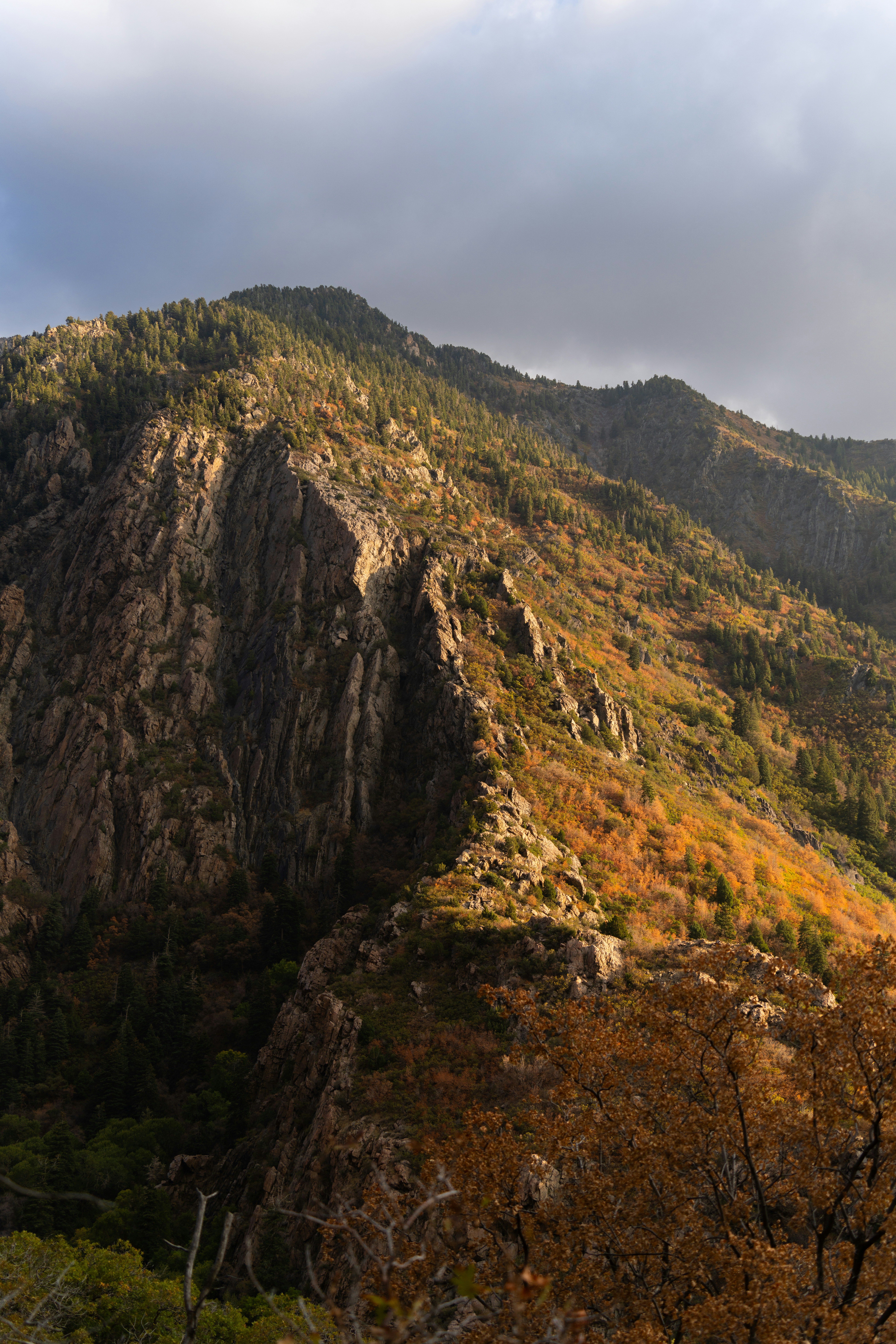 Photo by alexmoliski