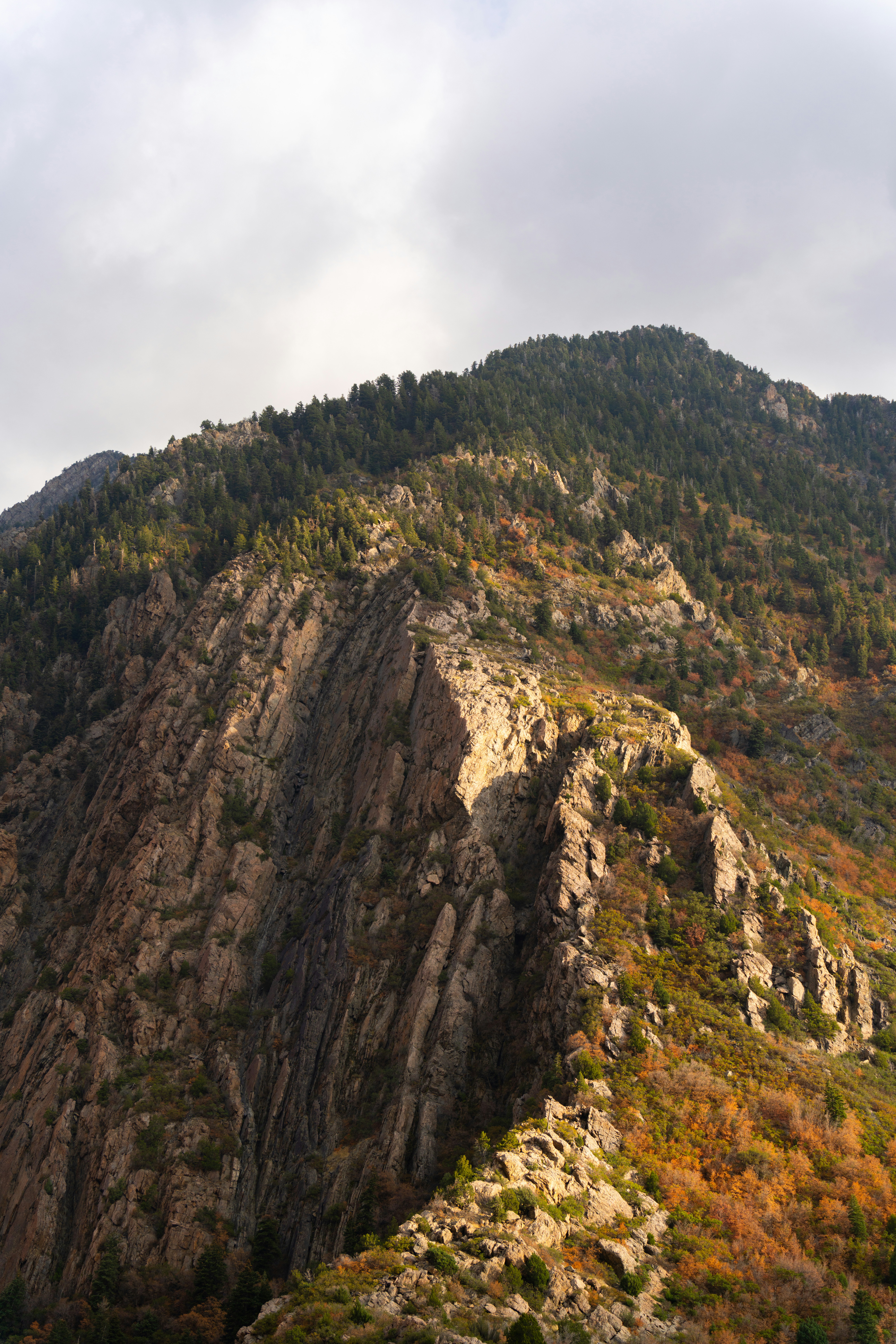 Photo by alexmoliski