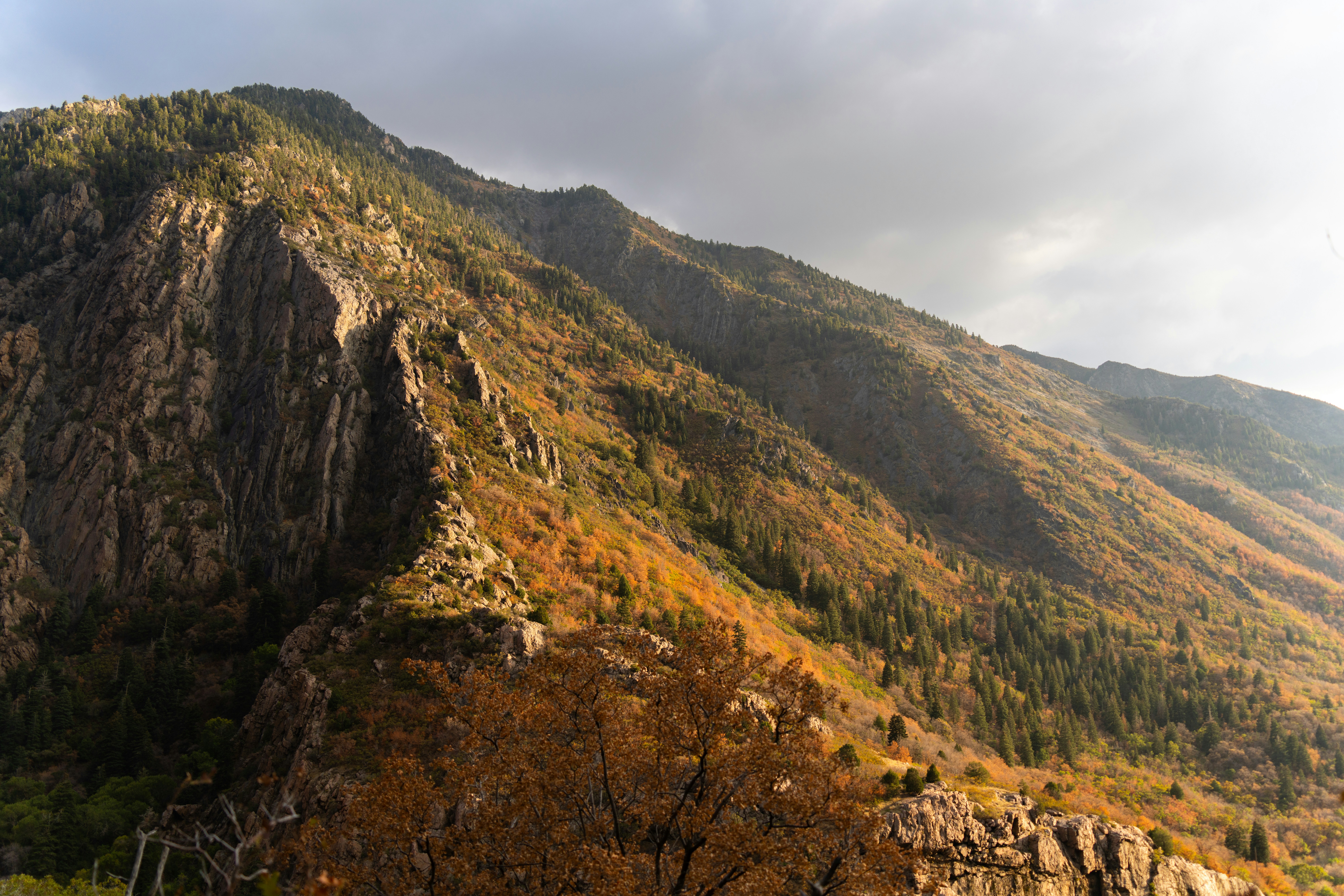 Photo by alexmoliski