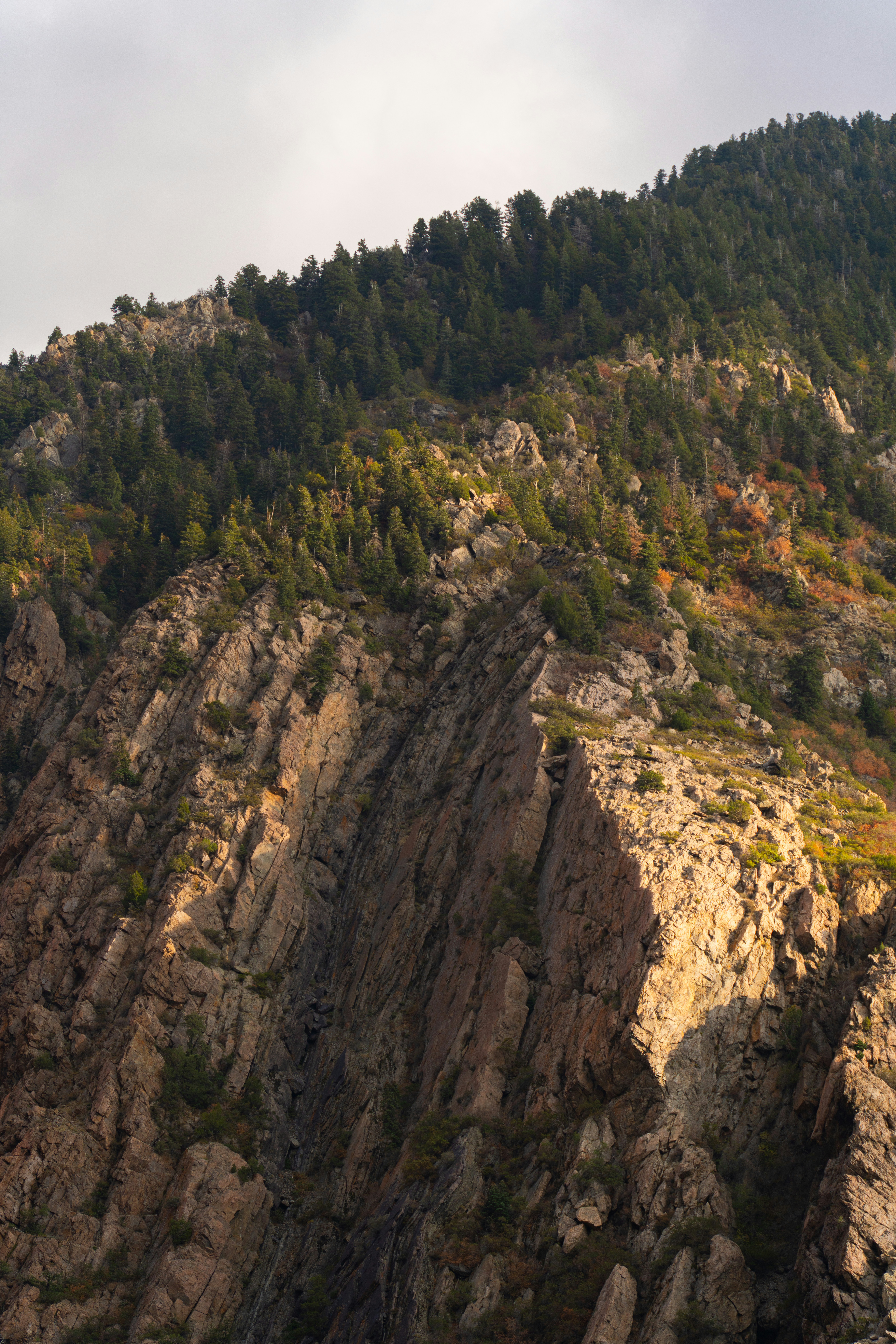 Photo by alexmoliski