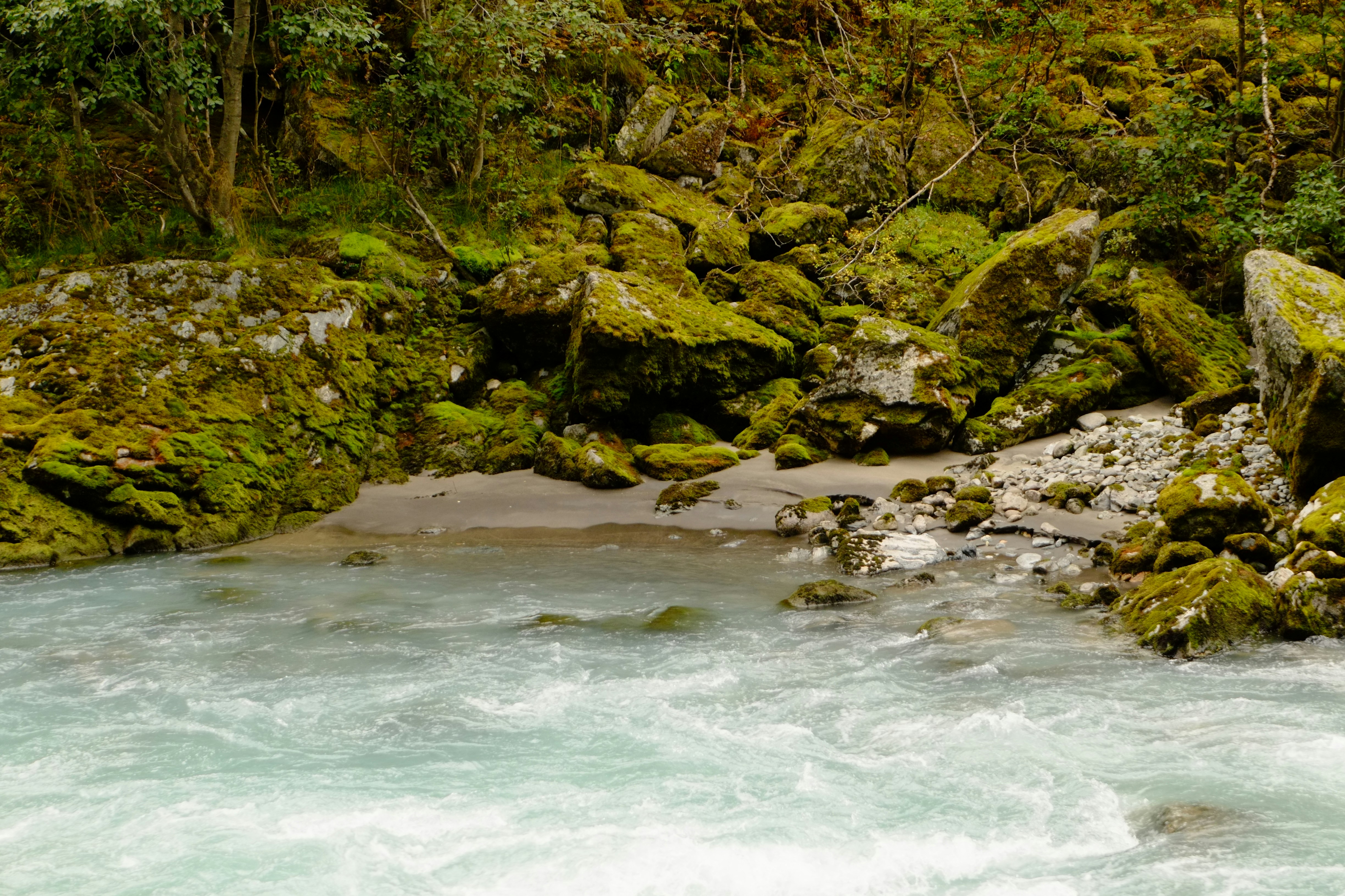 Photo by bernhardbar