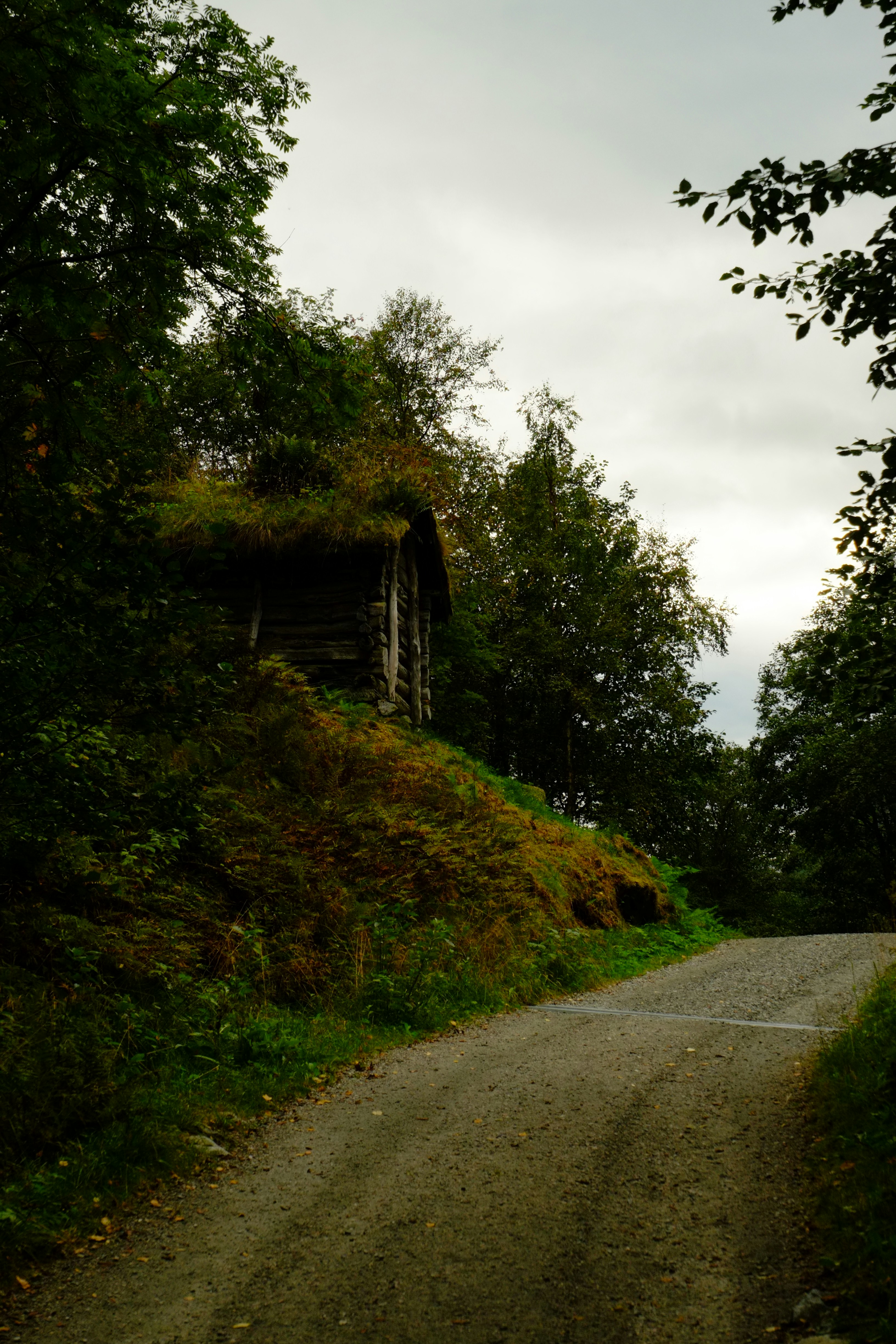 Photo by bernhardbar