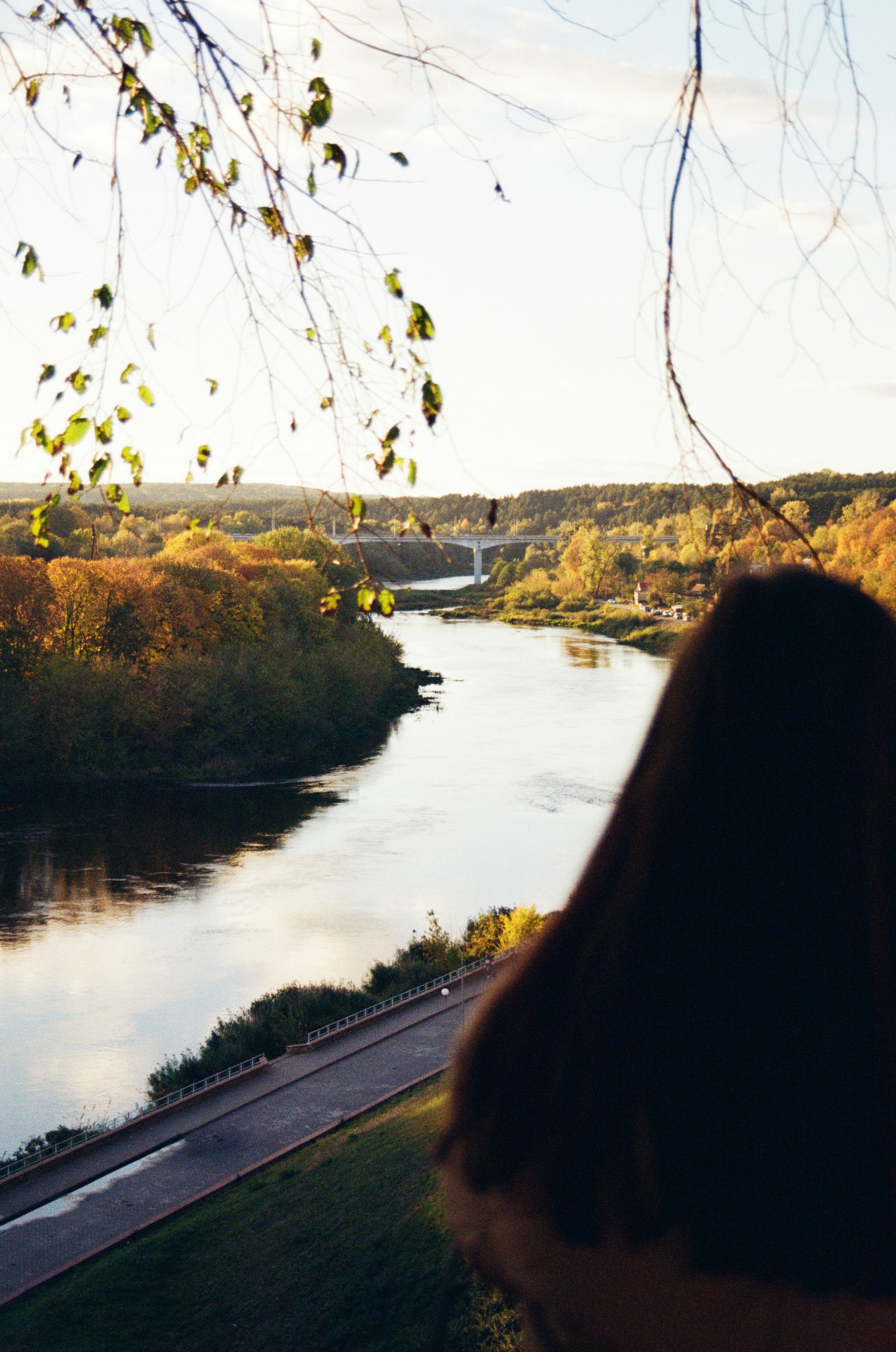 River flows through autumn forest with a bridge.
