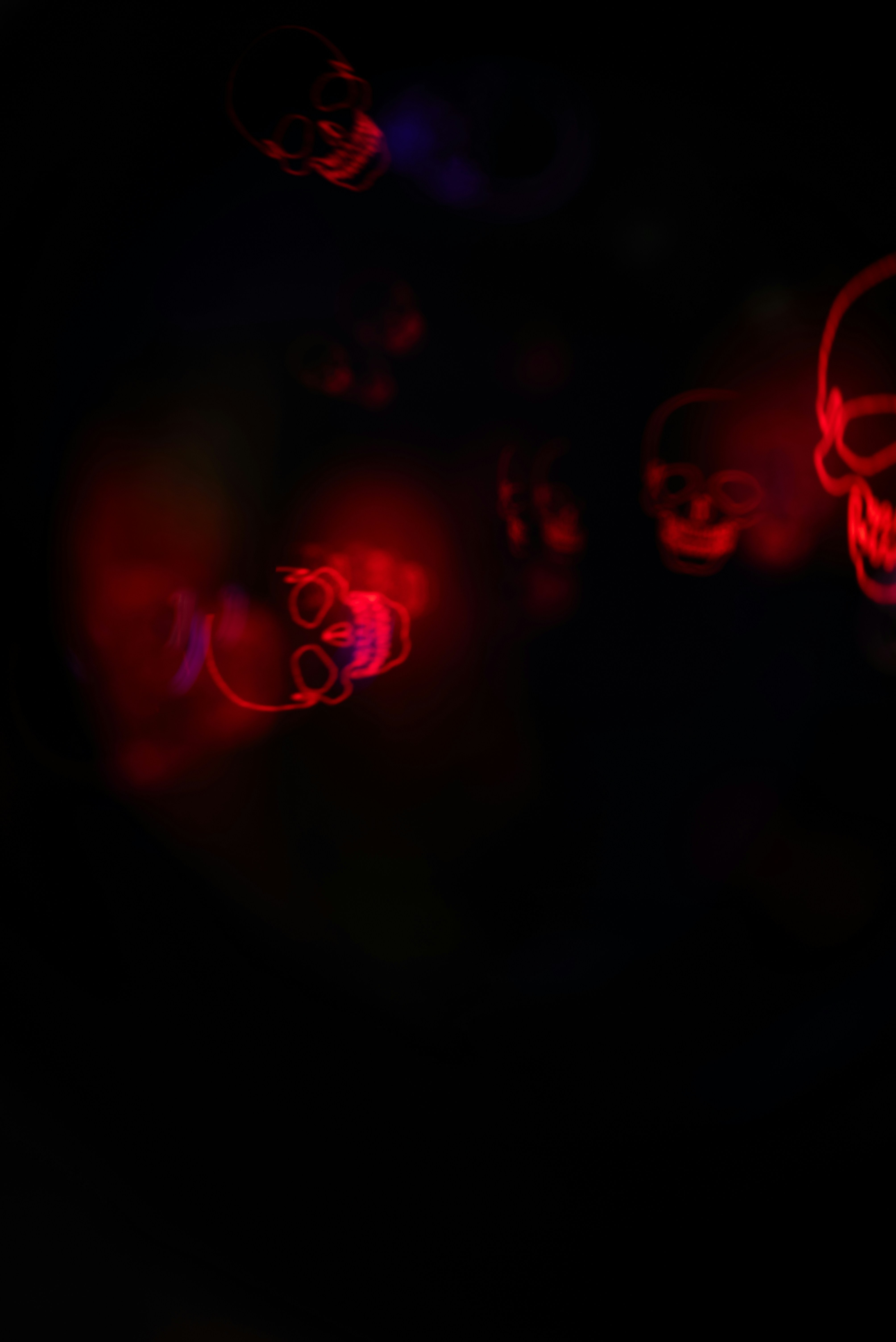 Photo by andrilliardbond