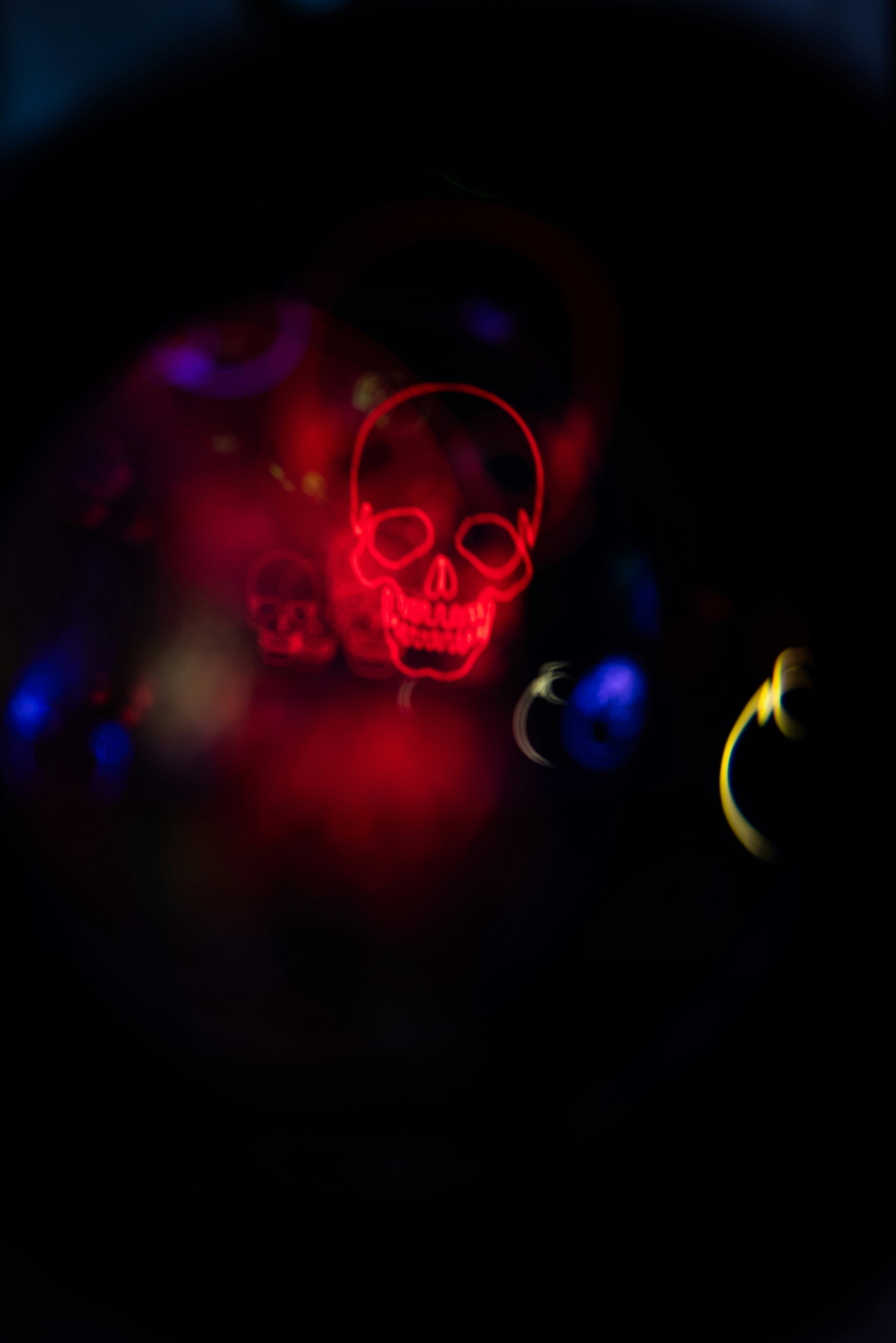 Photo by andrilliardbond