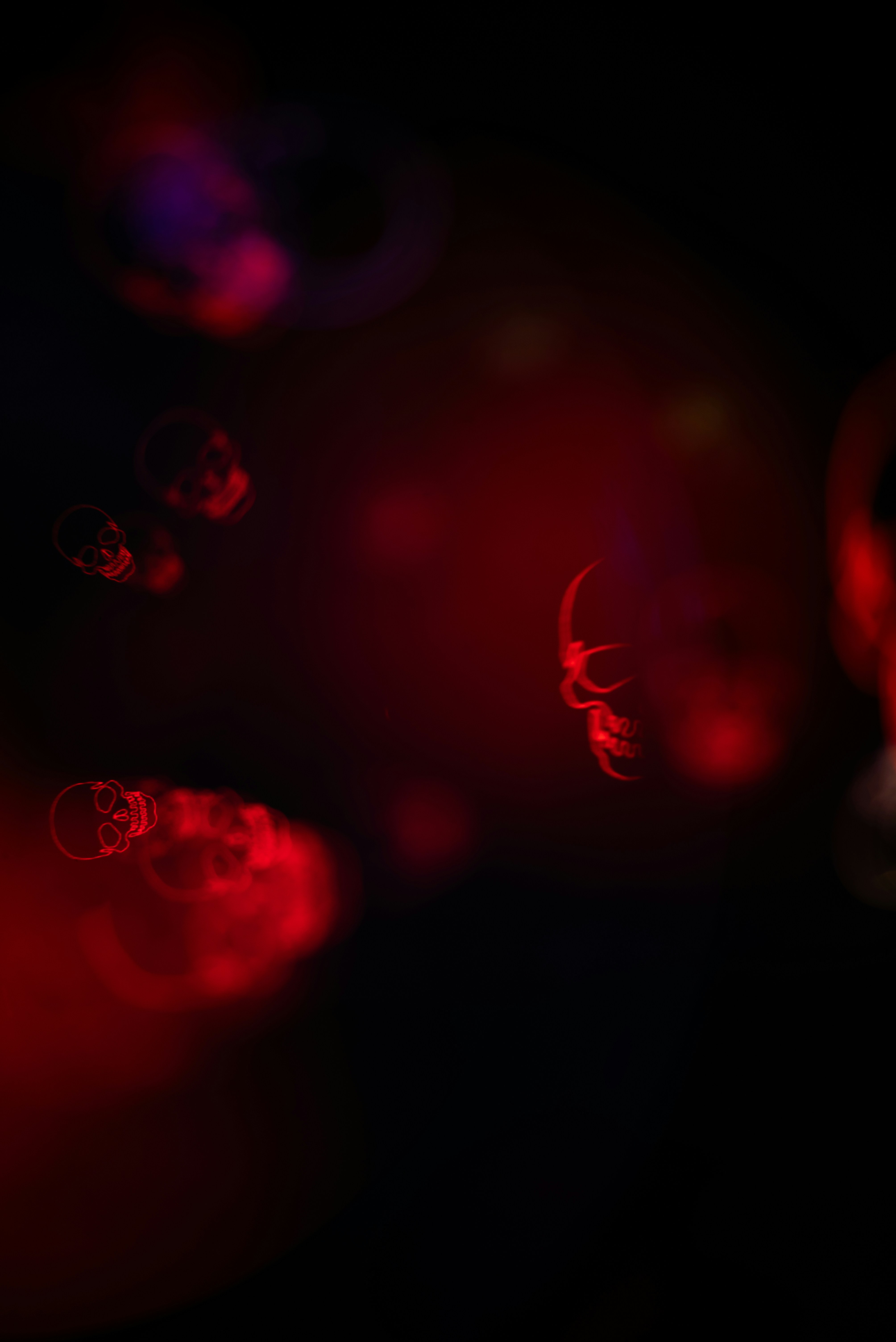 Photo by andrilliardbond