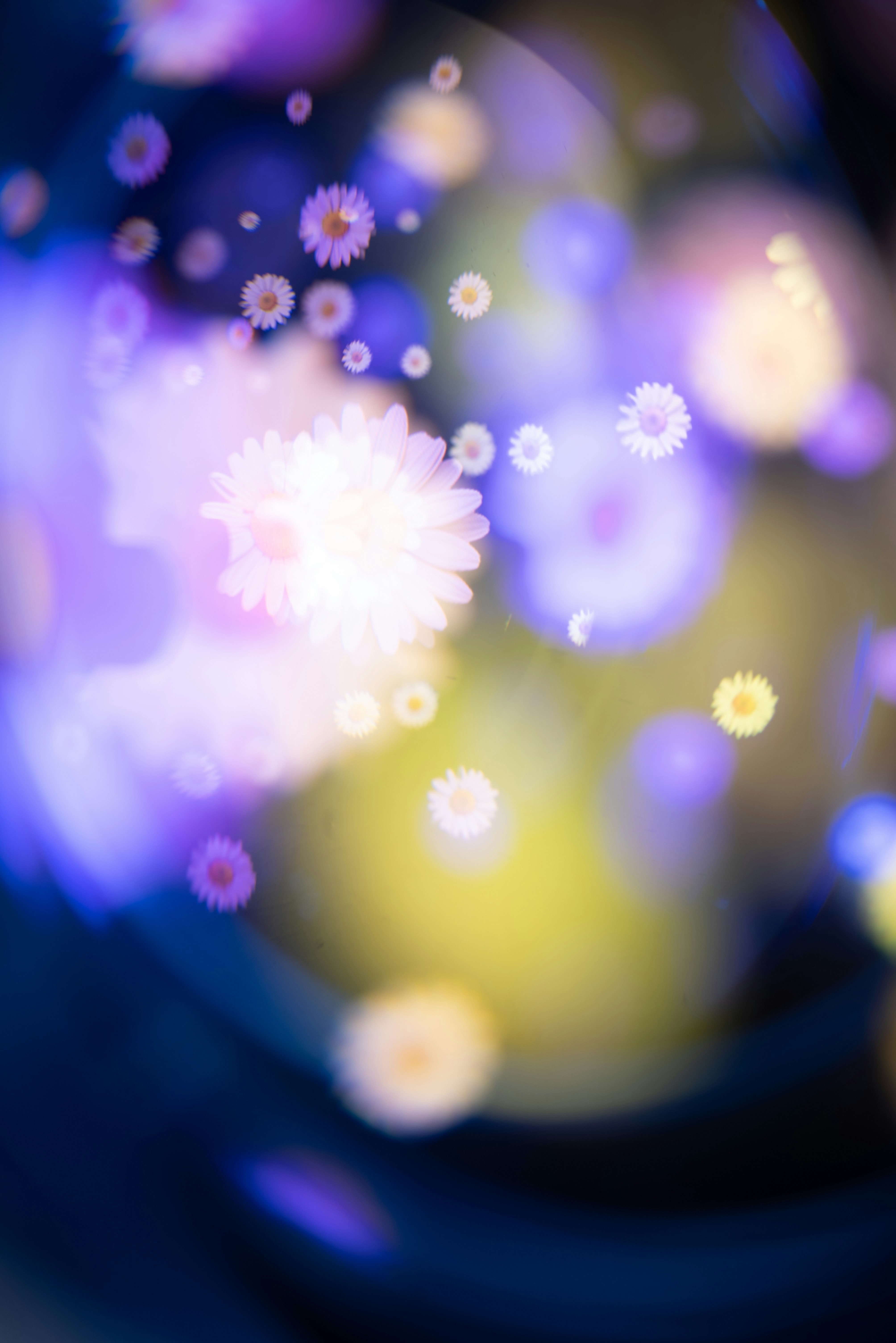 Photo by andrilliardbond