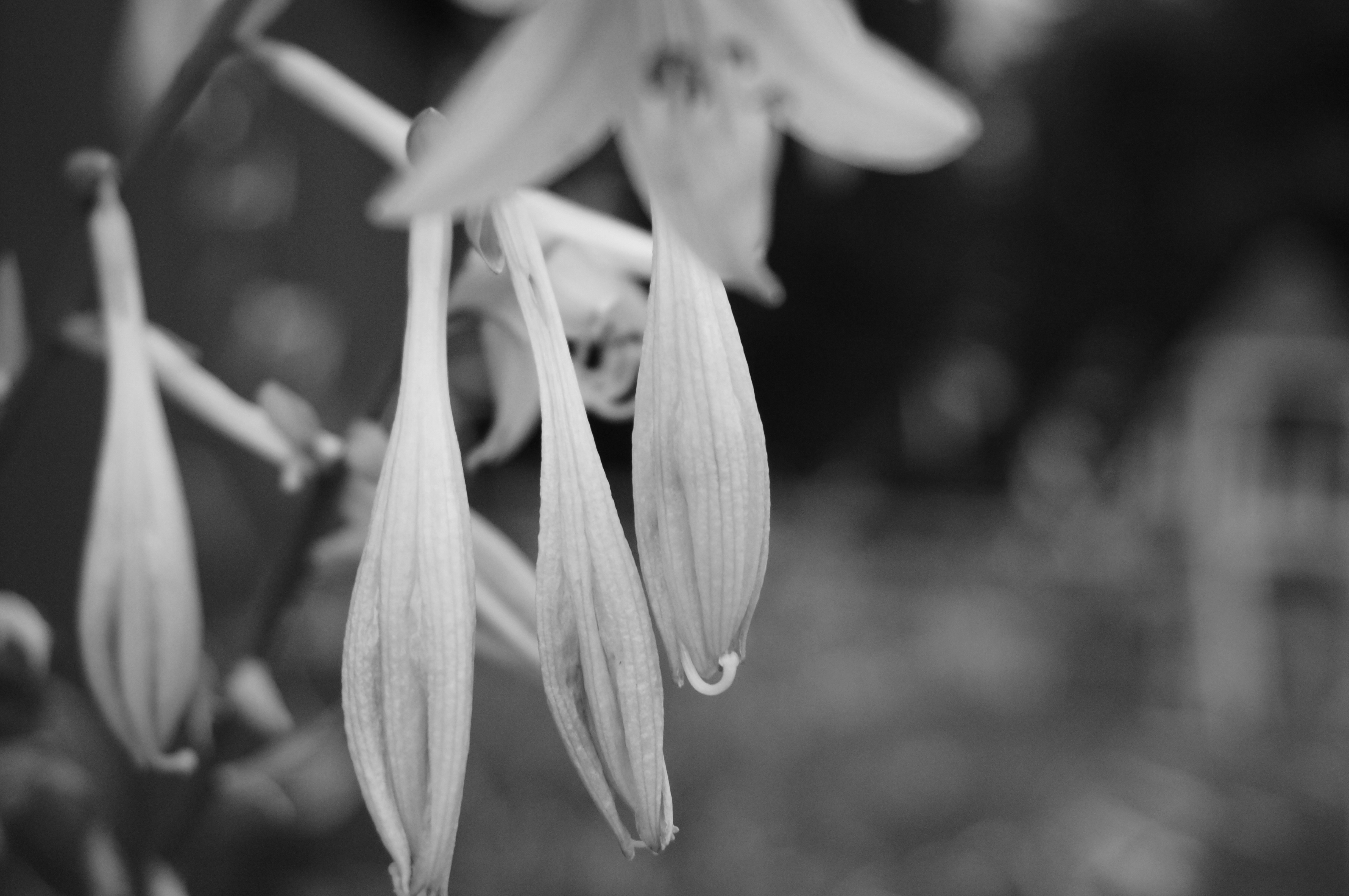 Photo by sugargirl333