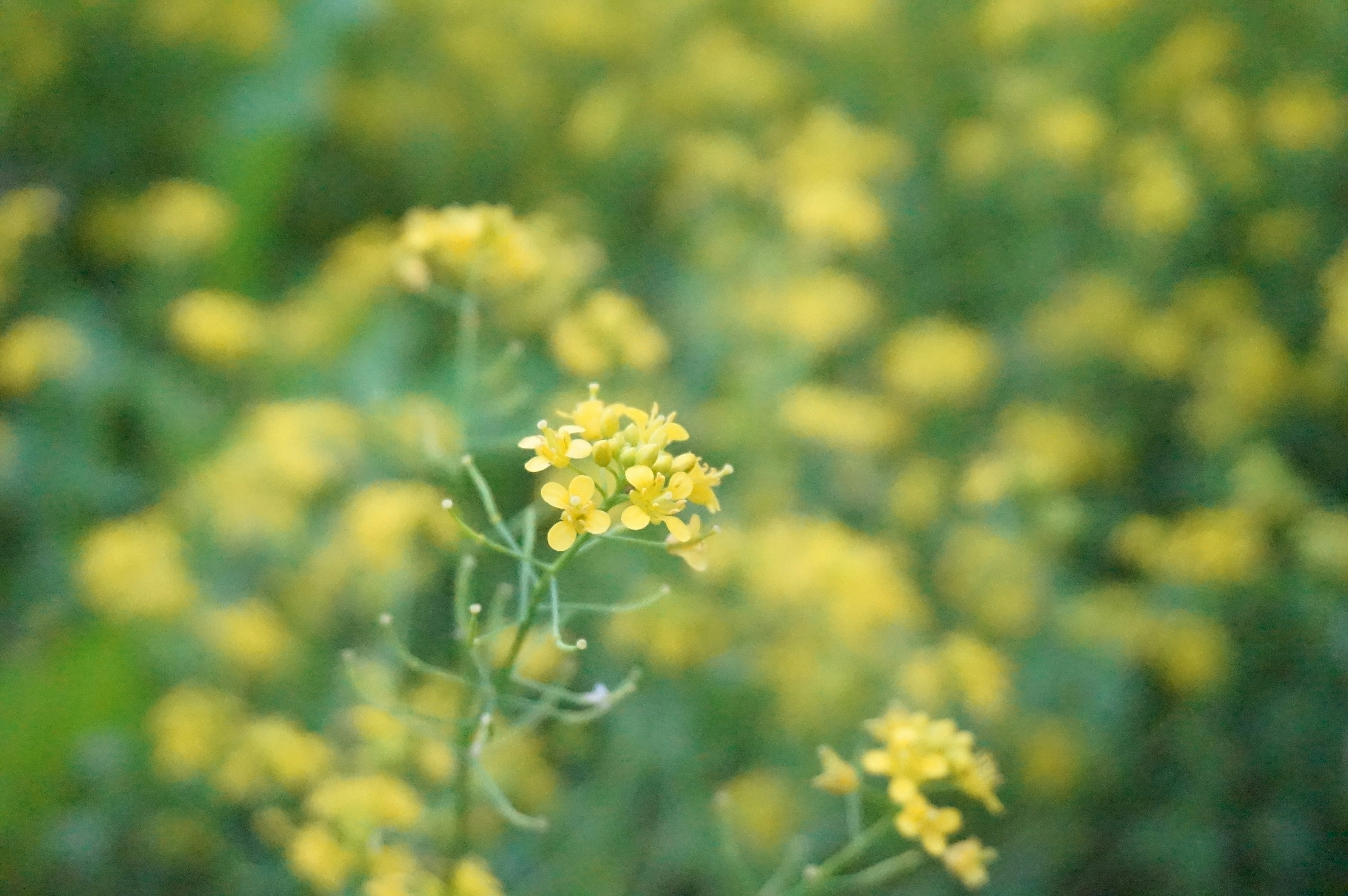 Photo by sugargirl333