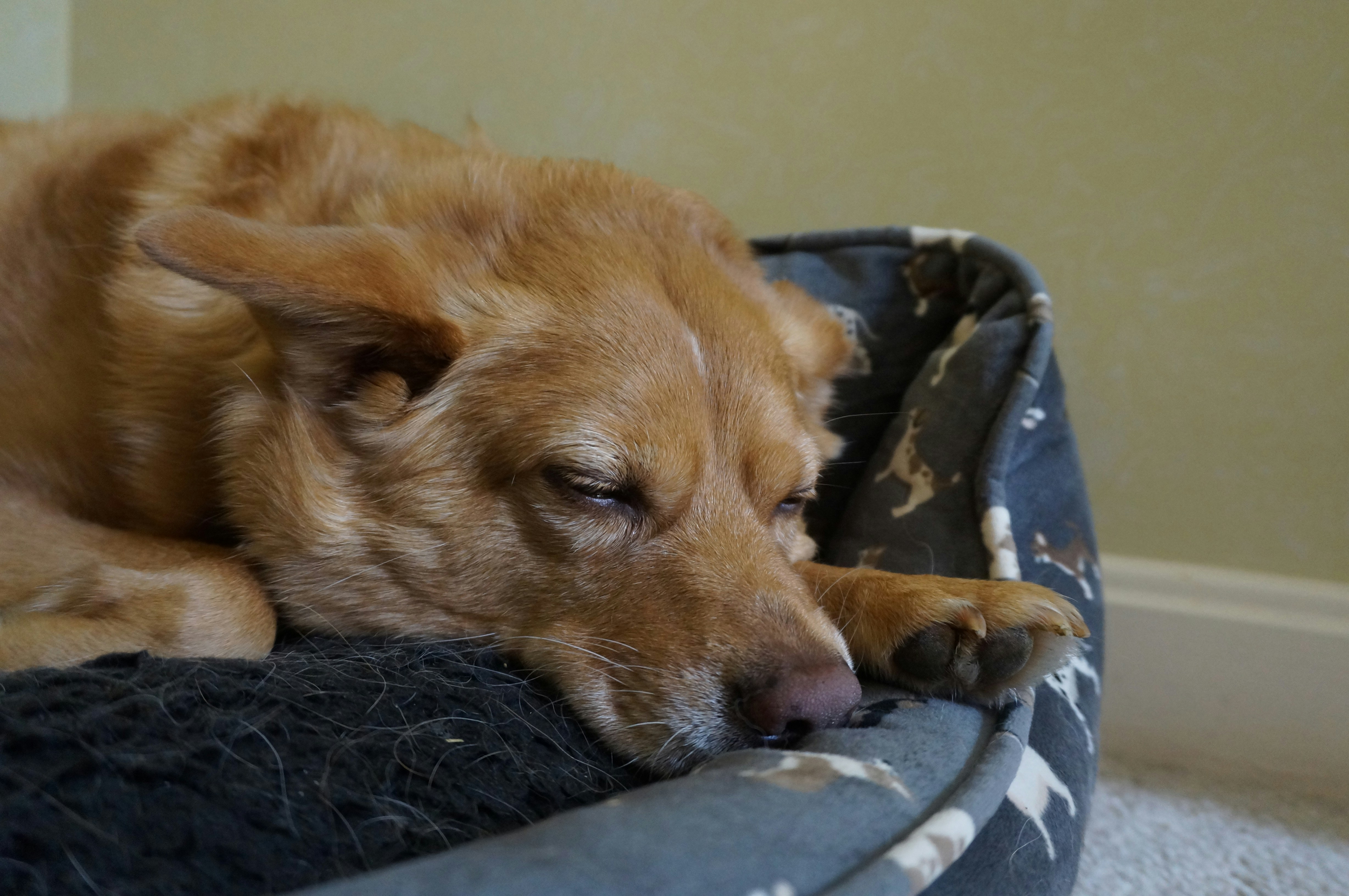 Photo by sugargirl333