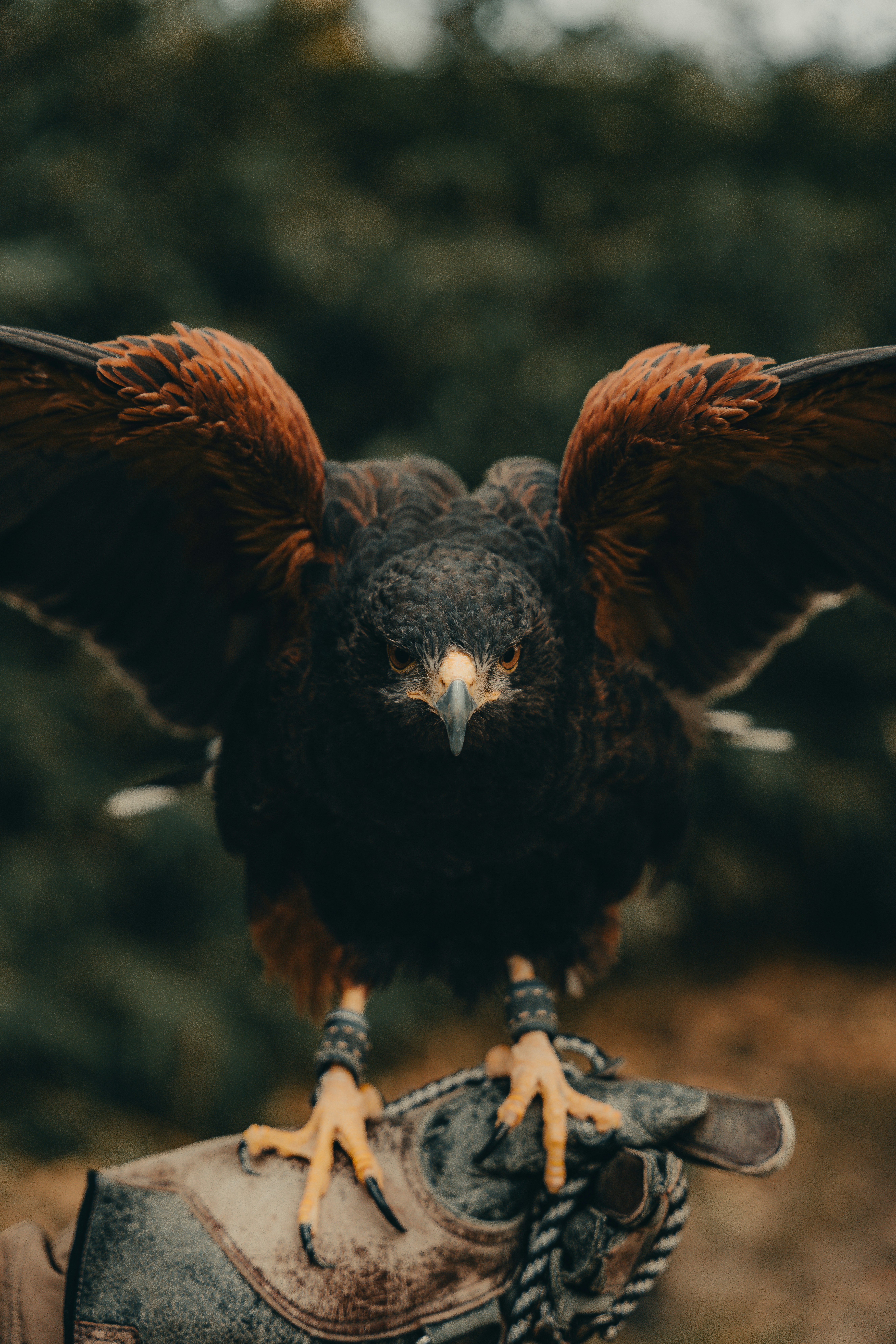 Book Recommendations for October 2025