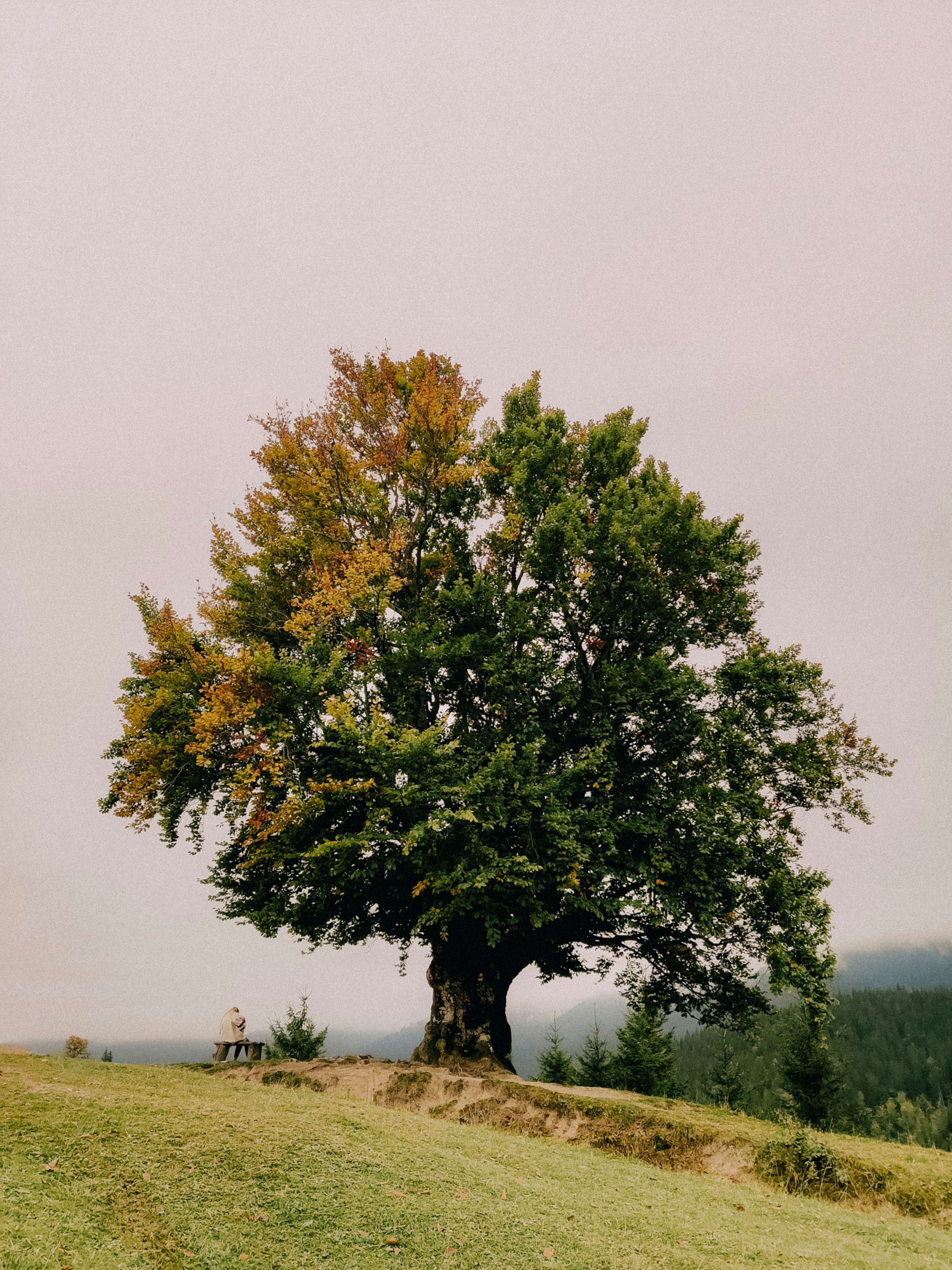 Photo by zhyzhyn
