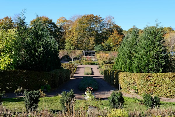 Fresh landscaping and walkway installation