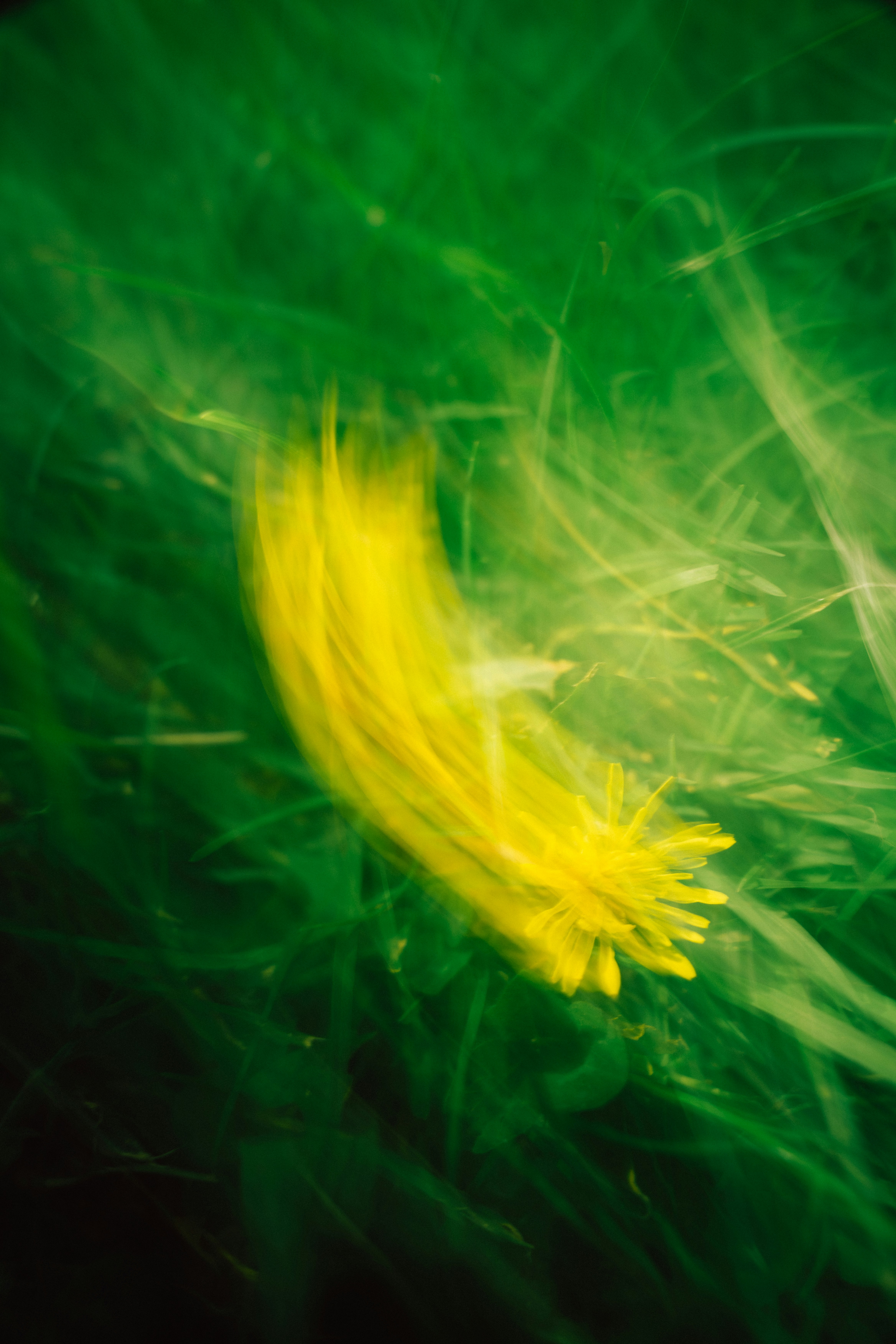 Photo by raphael_nicolas