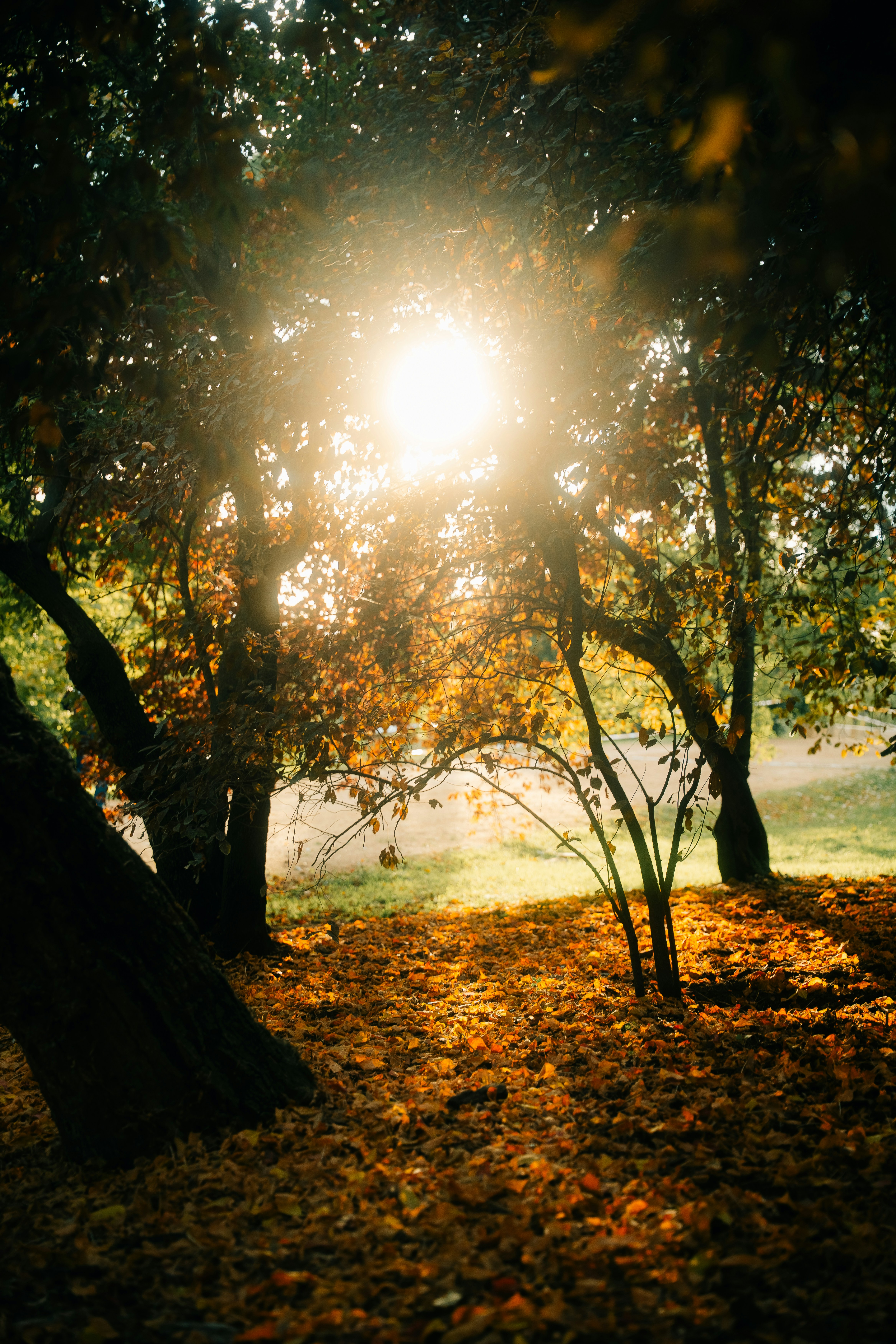 Photo by raphael_nicolas