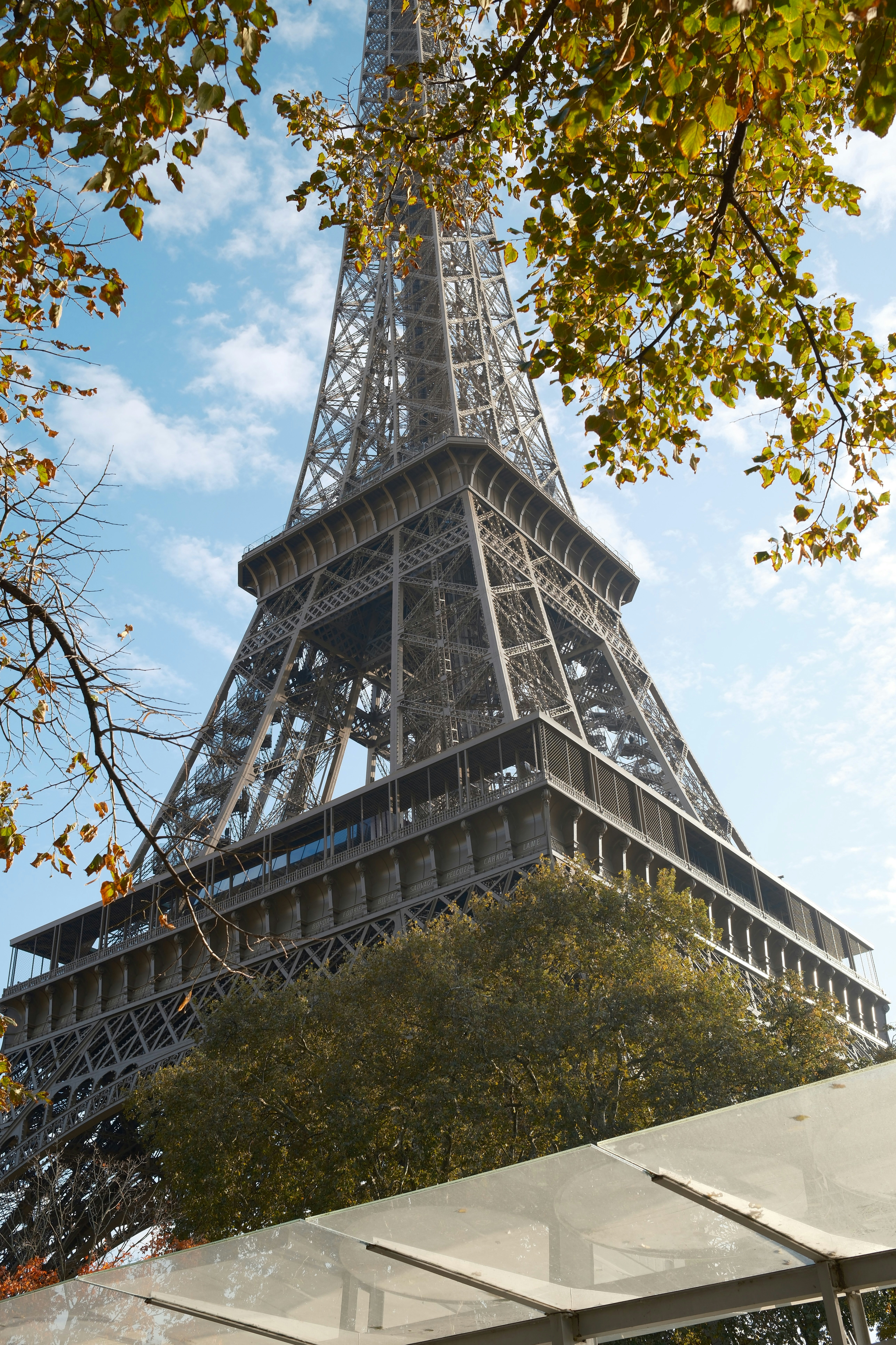 The eiffel tower seen through autumn leaves