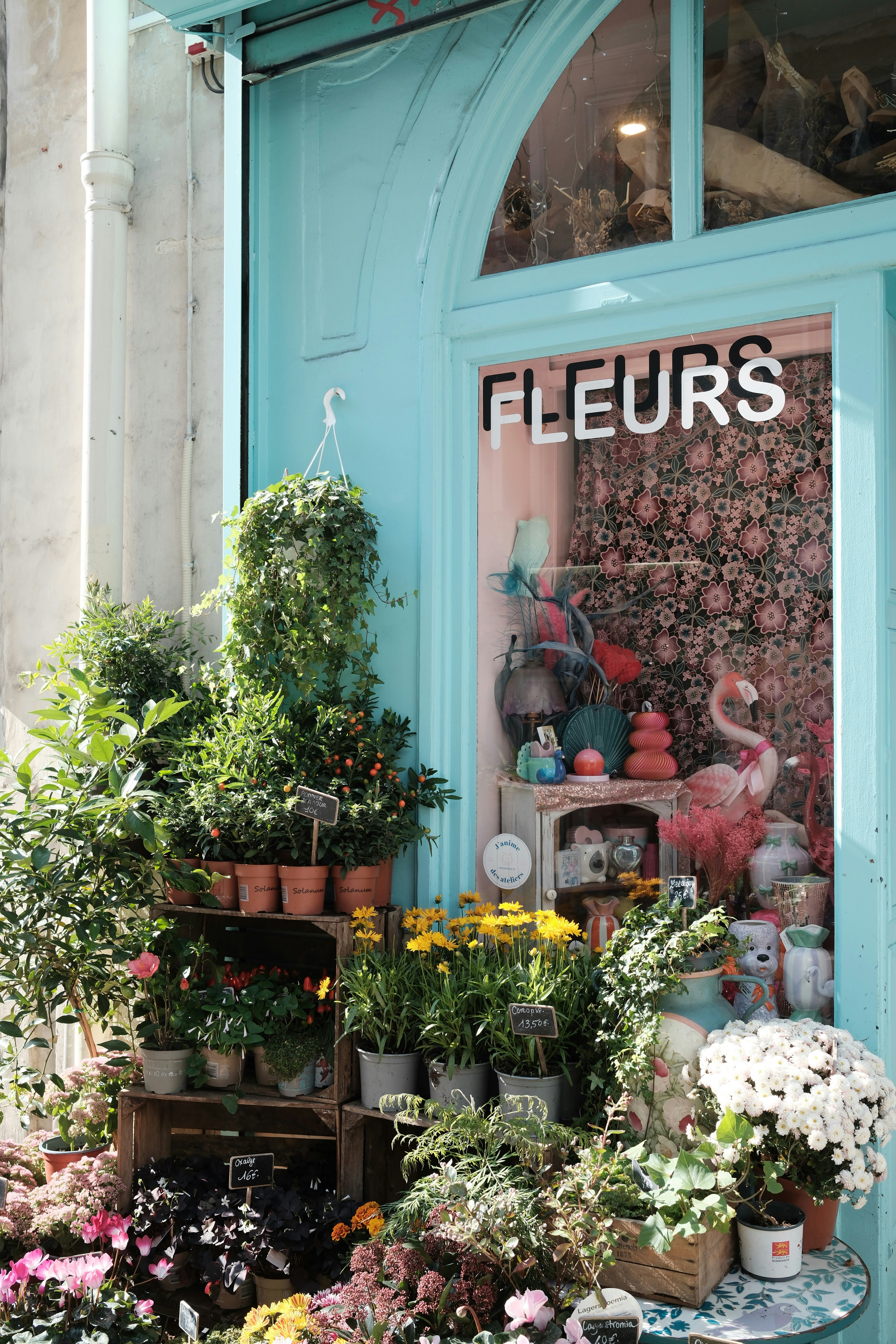 Flower shop storefront with vibrant plants and decor
