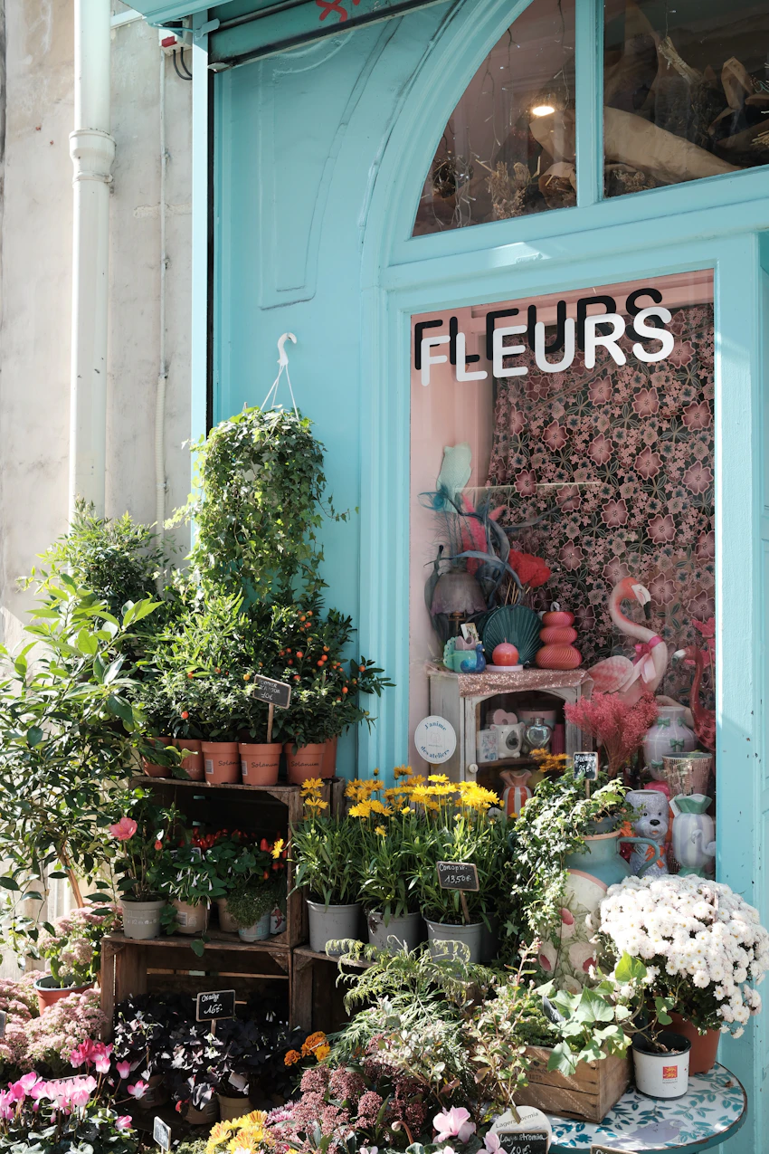 Boutique de fleurs et plantes dans une rue commerçante