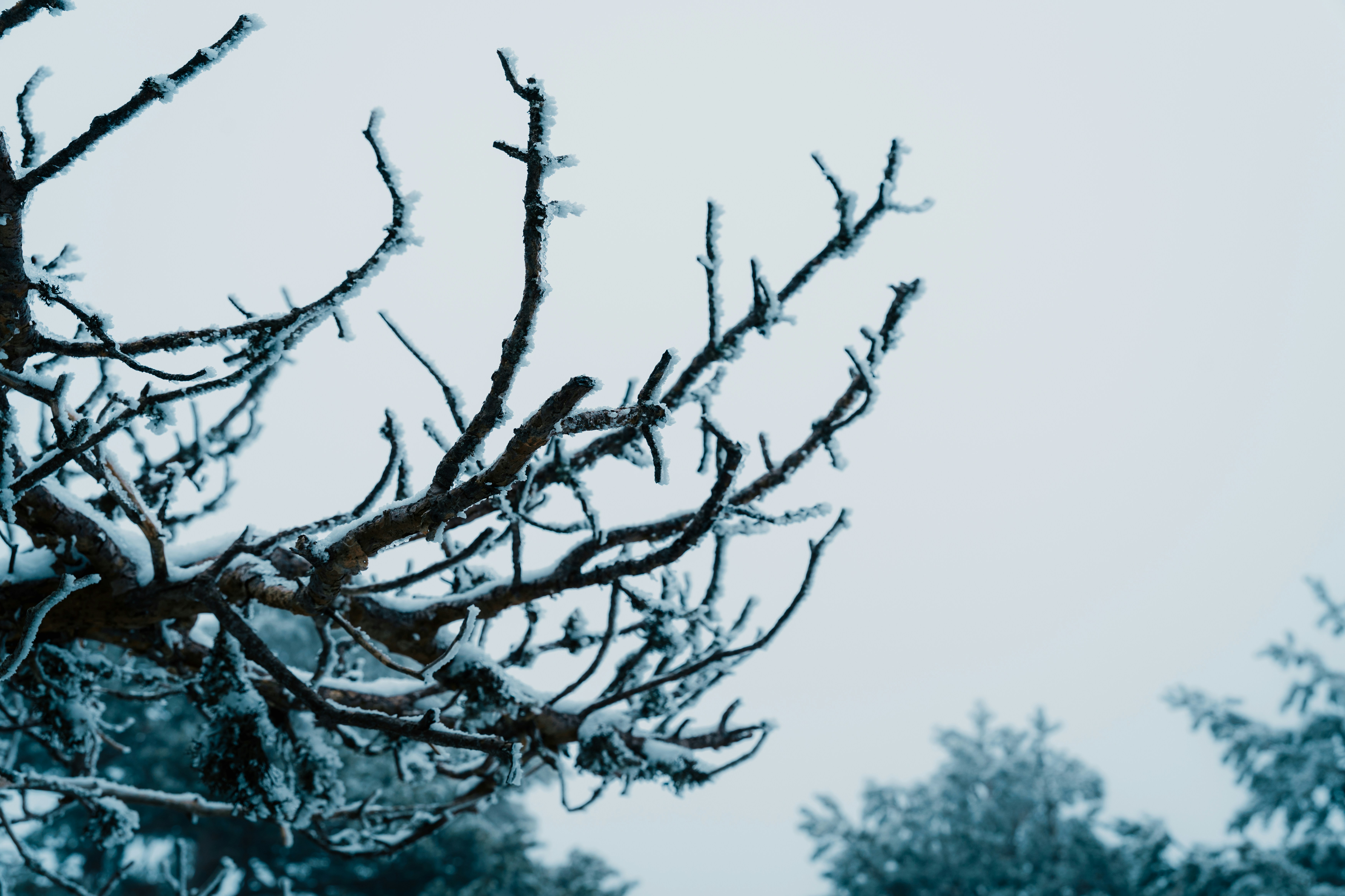 Photo by raphael_nicolas