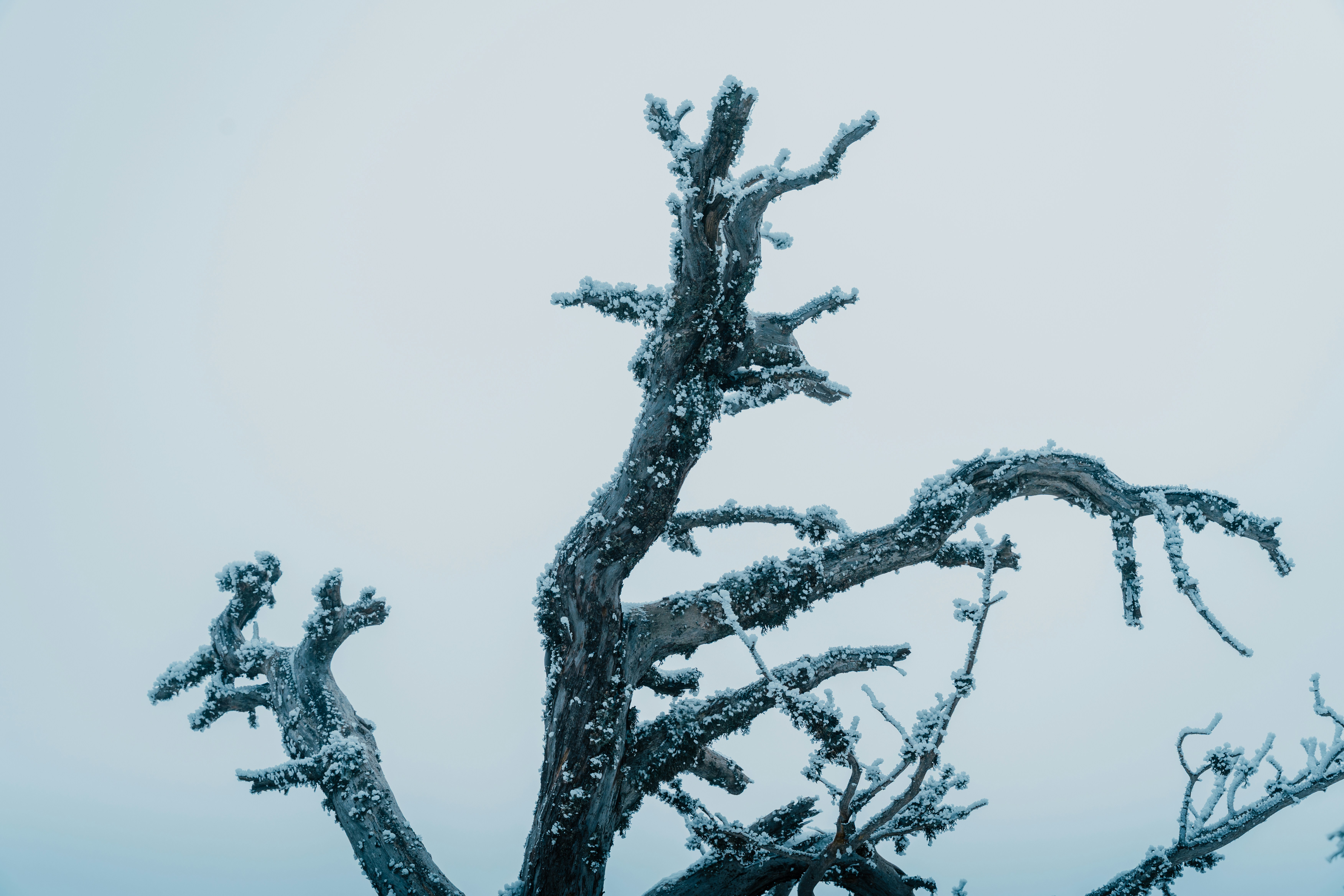 Photo by raphael_nicolas