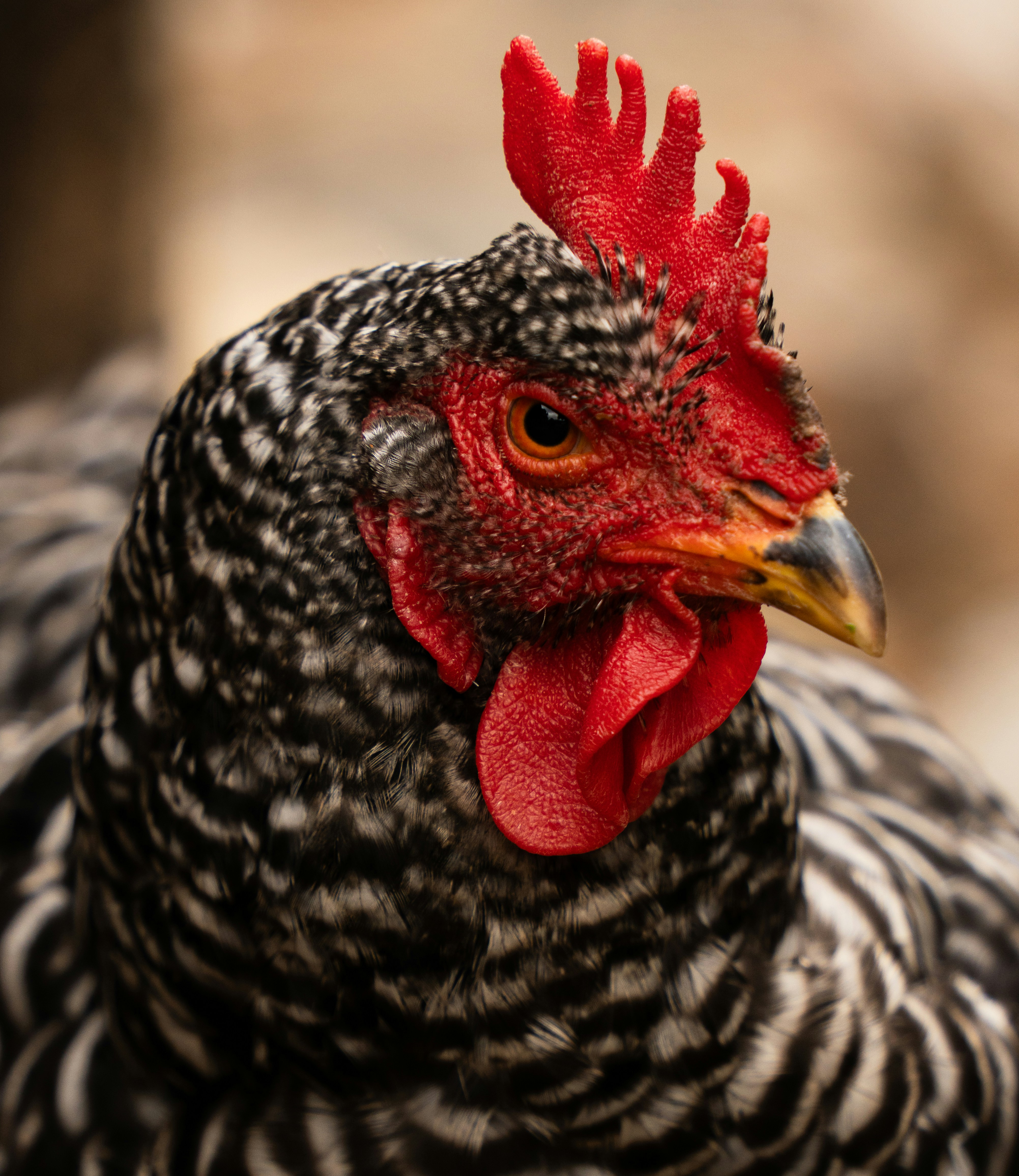 Photo by alexmoliski