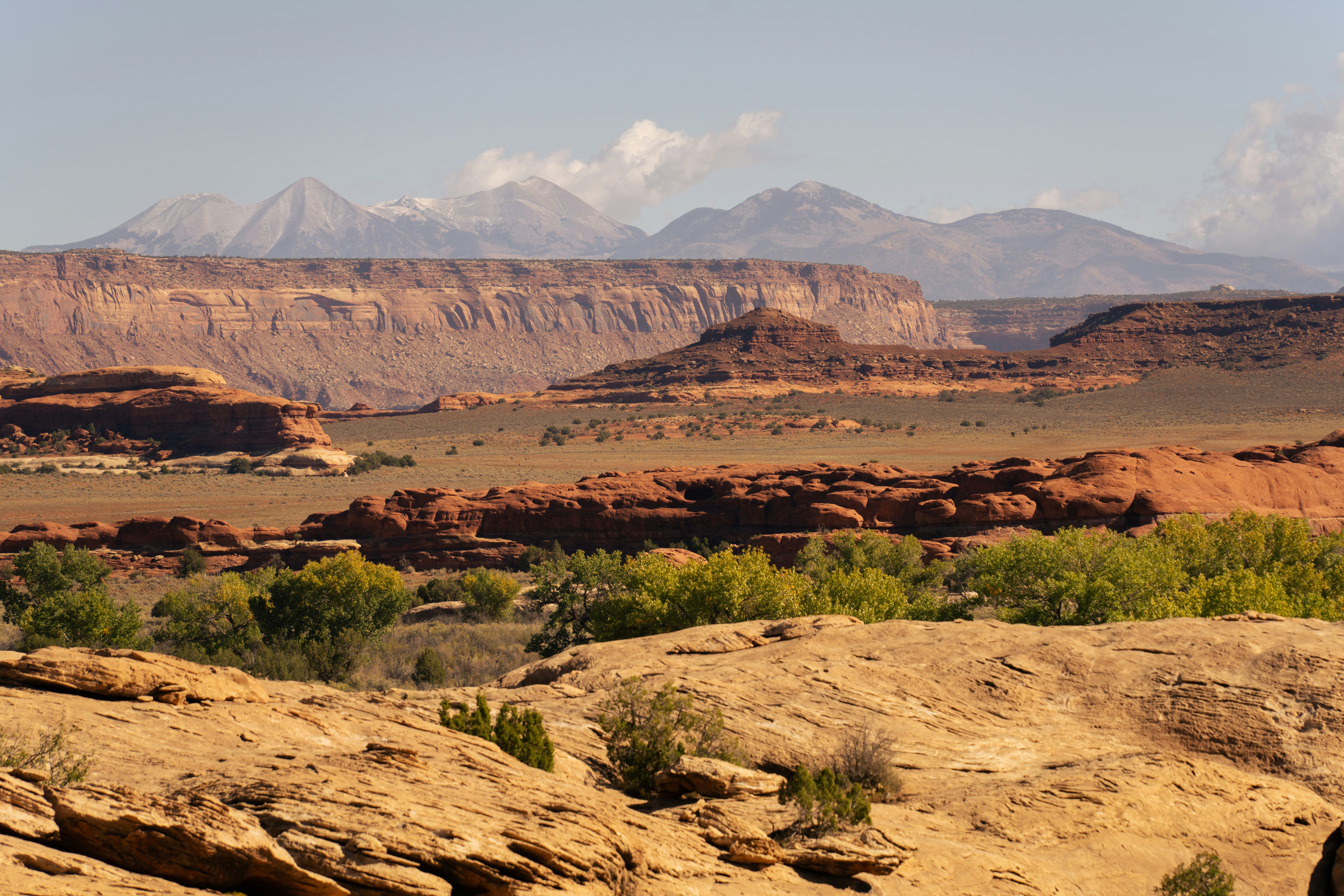 Photo by alexmoliski