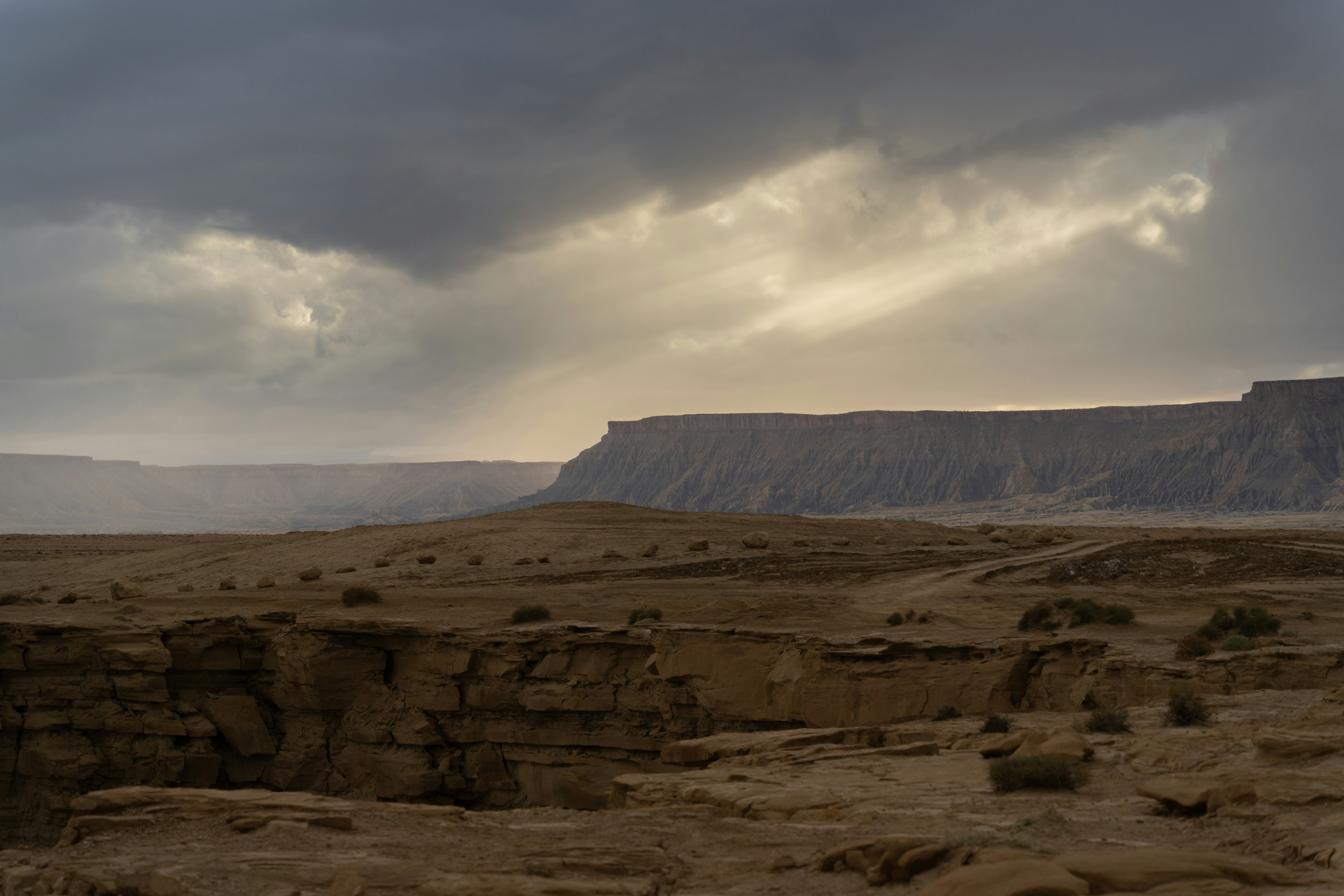 Photo by alexmoliski