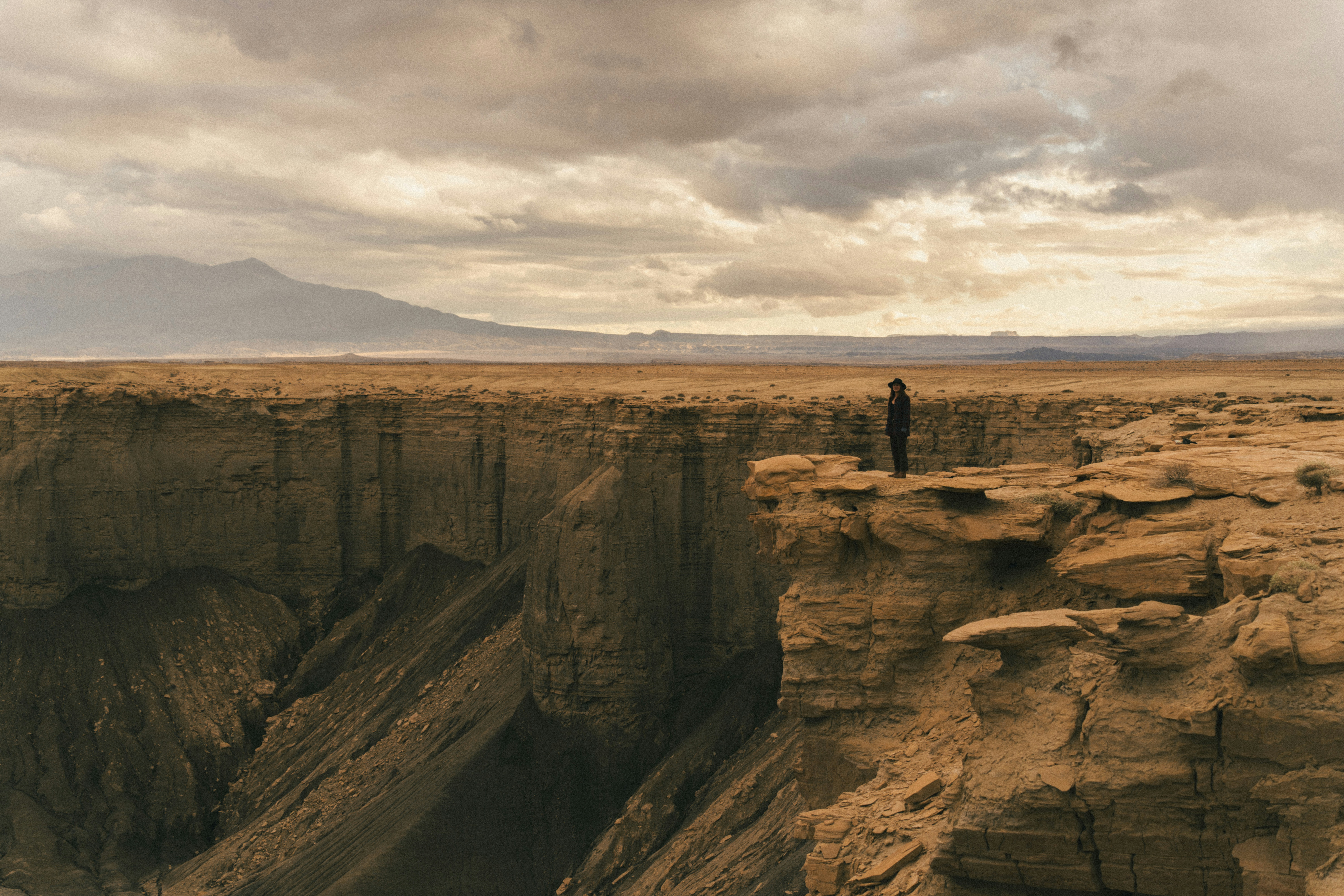 A lone figure stands on a desert canyon cliff edge.
