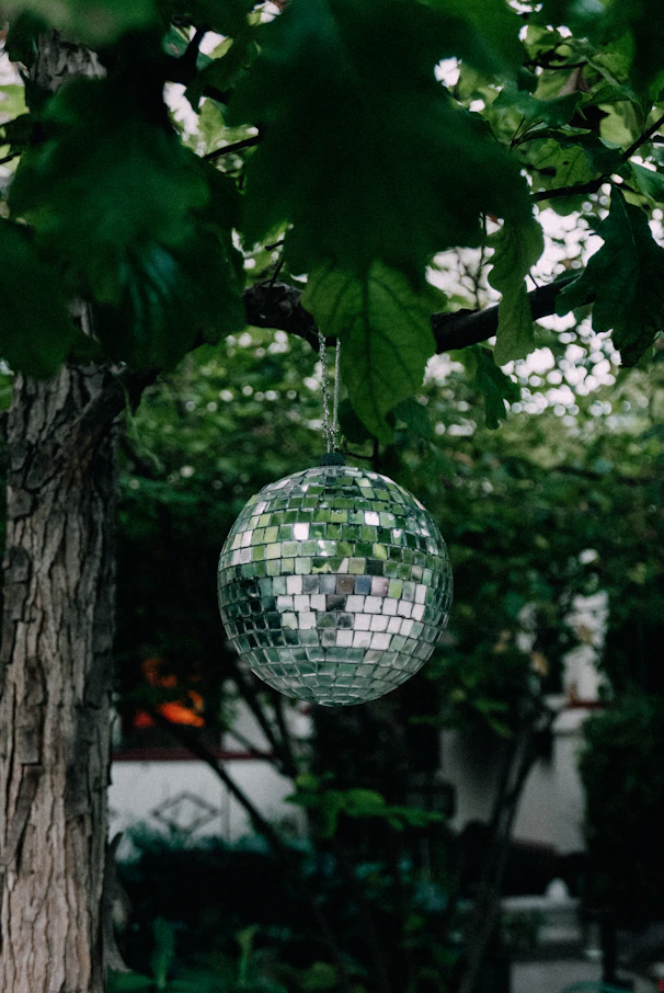 Disco ball hanging from a tree branch