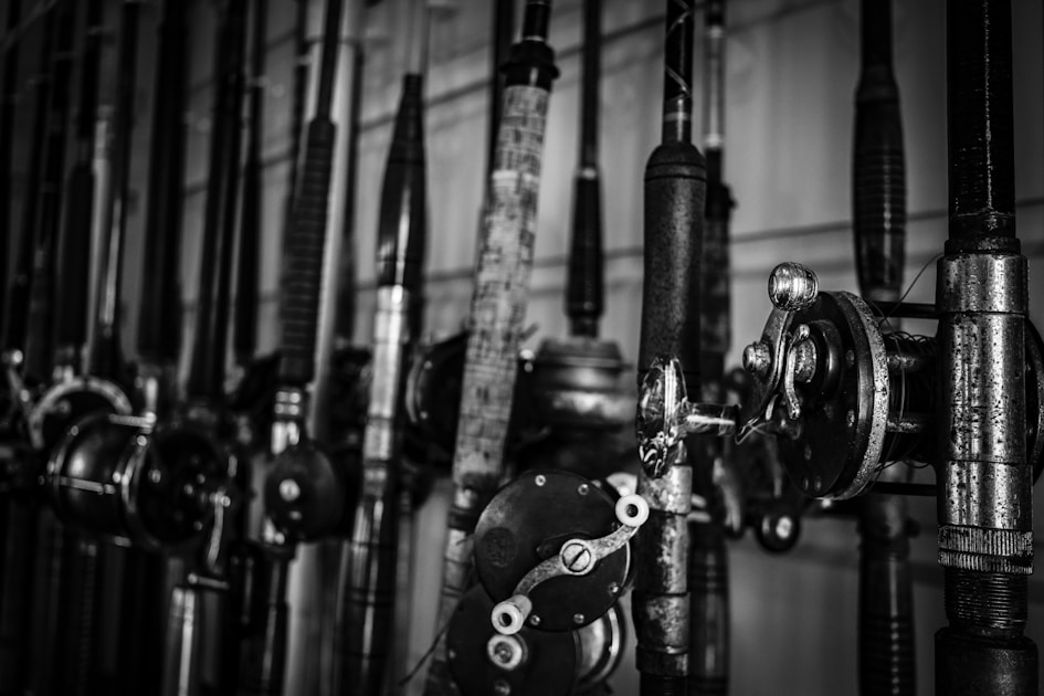 Fishing license state guide — step-by-step visual example