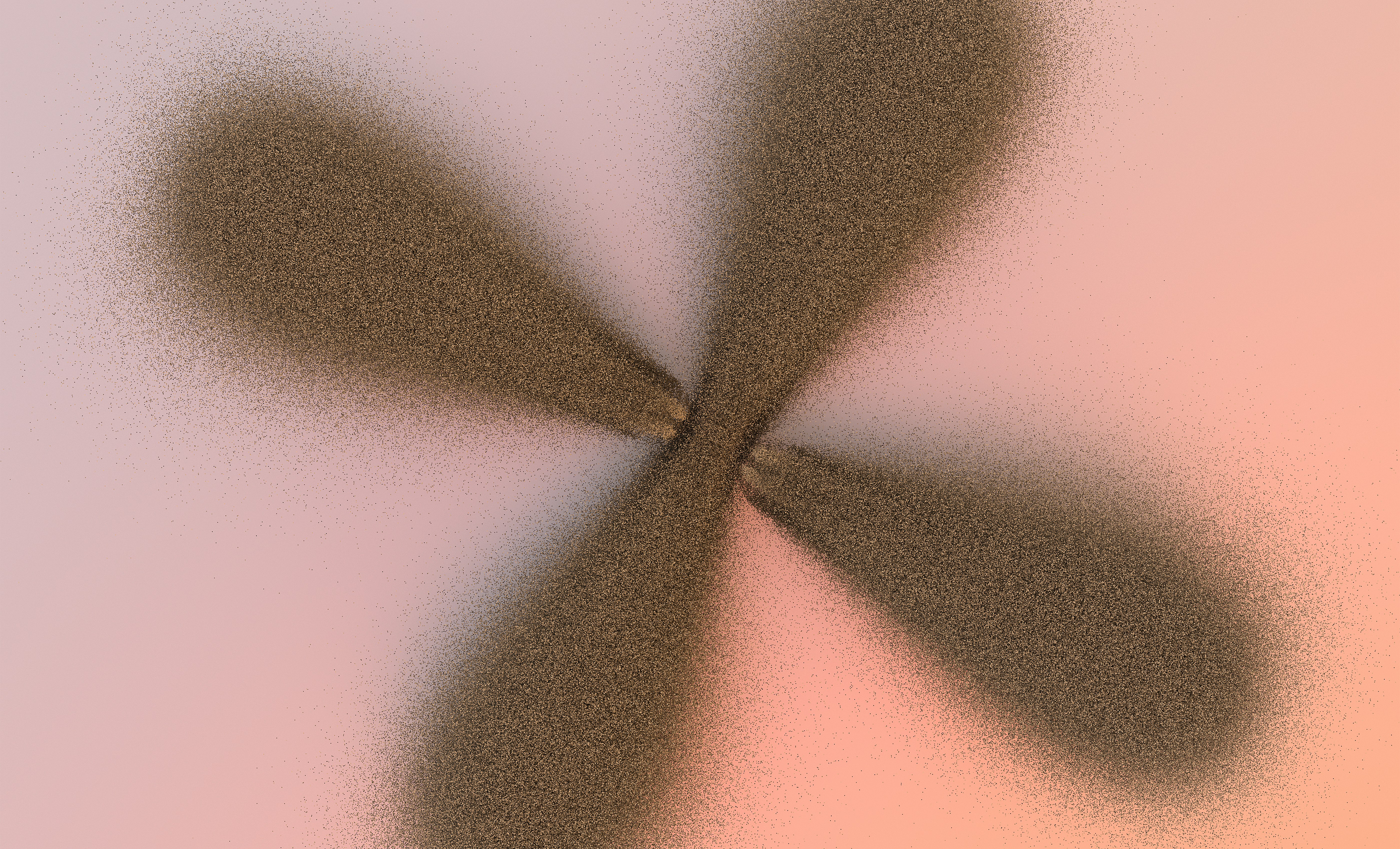 Cuatro pétalos arenosos que irradian desde un punto central