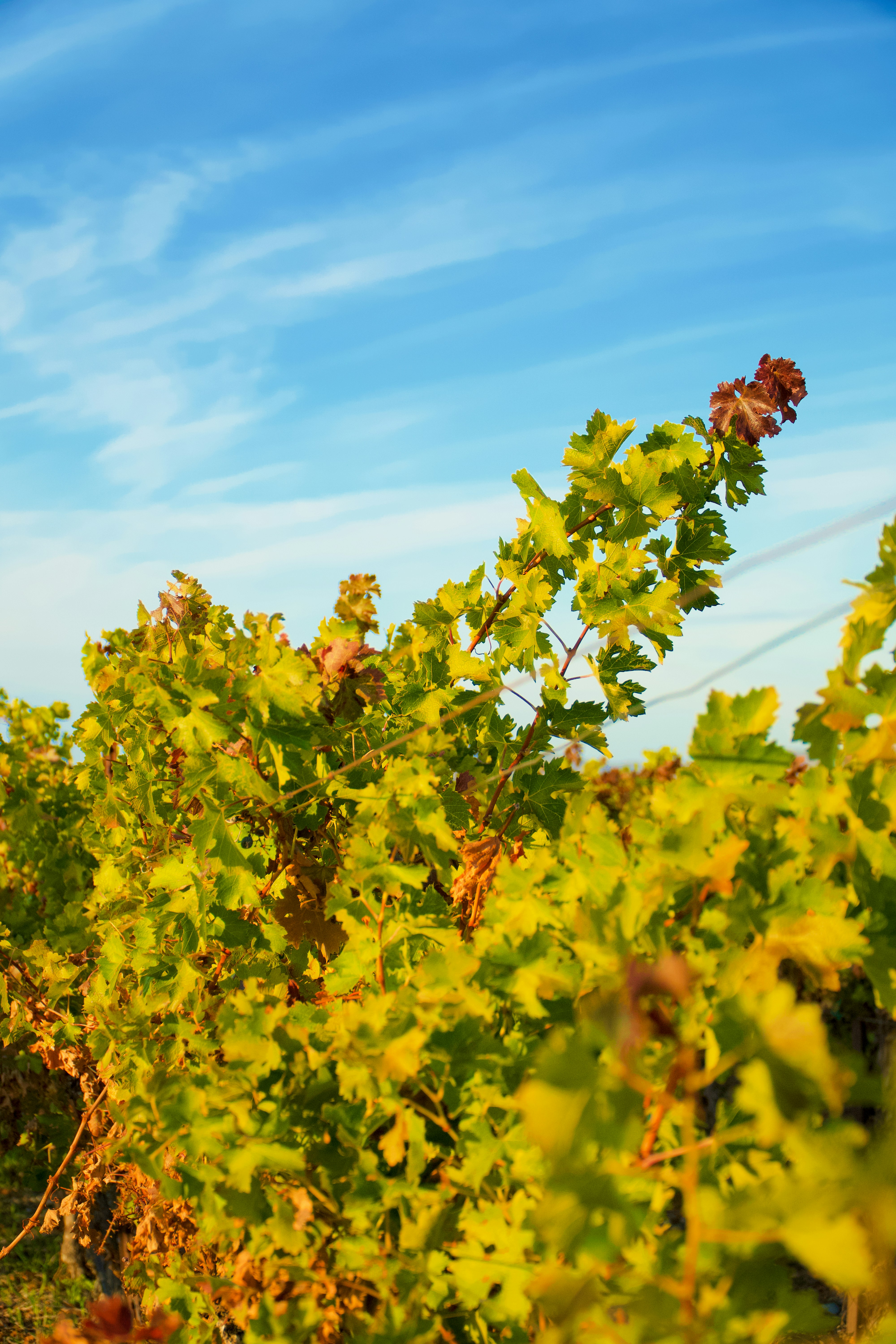 Photo by spencer_demera