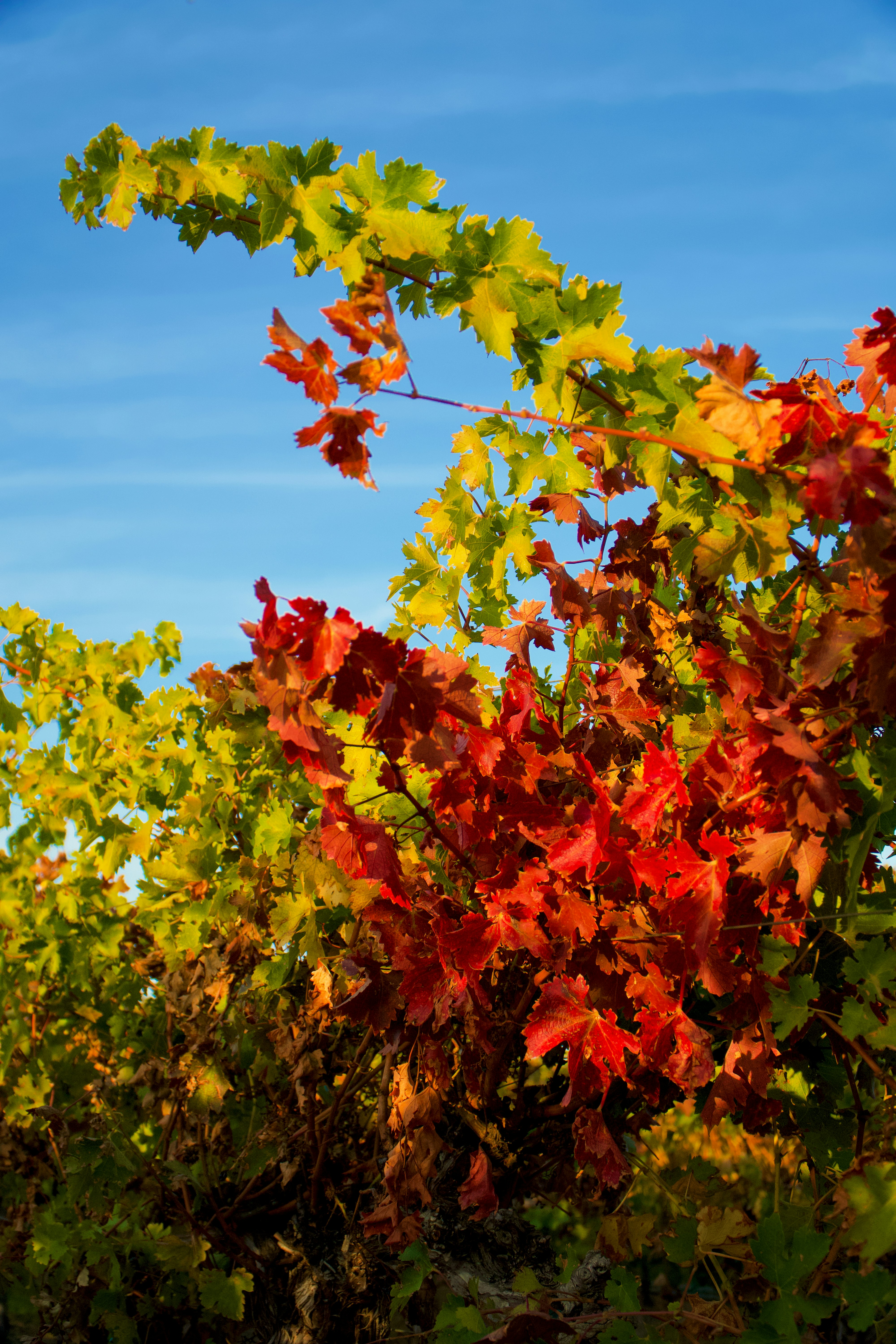 Photo by spencer_demera