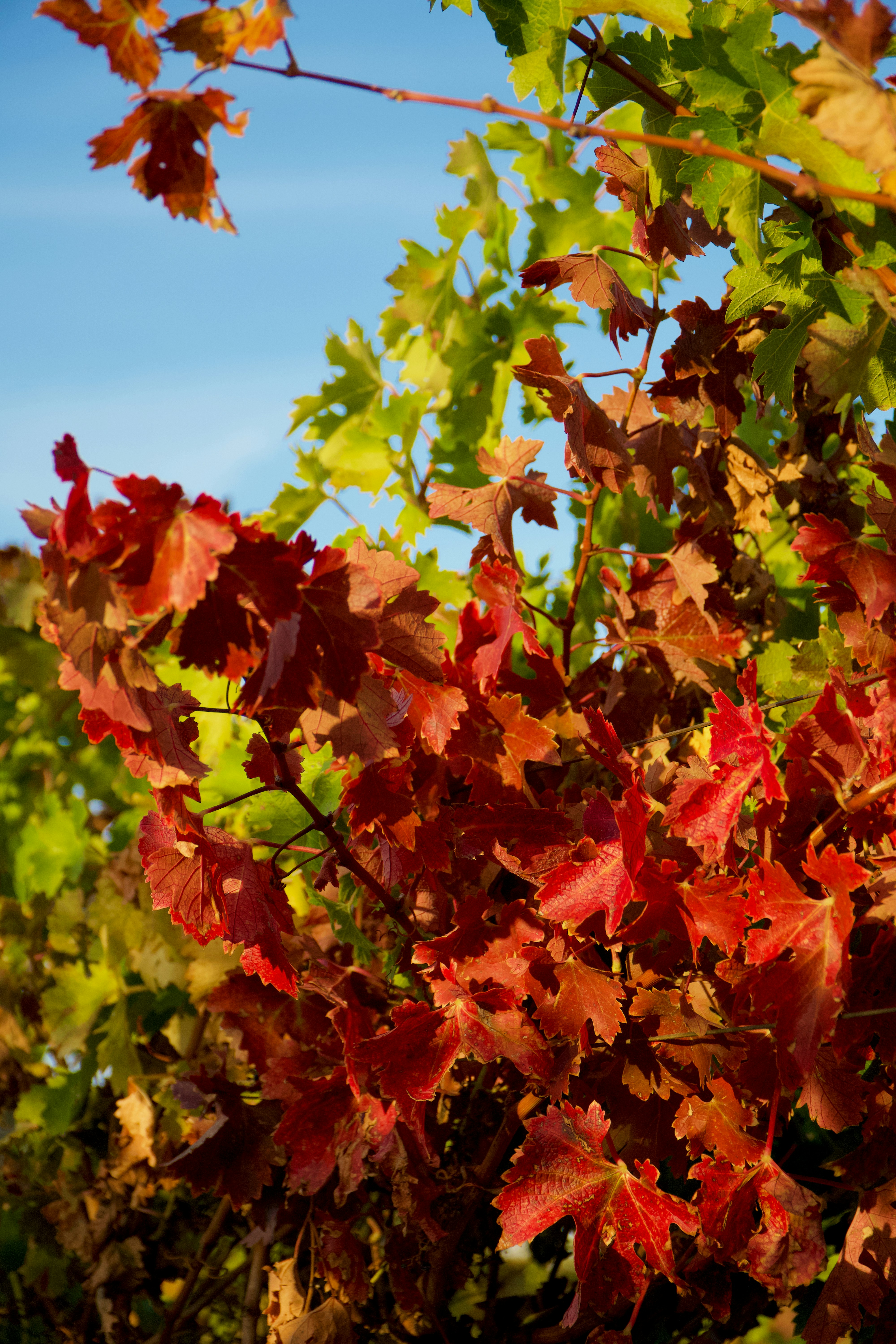 Photo by spencer_demera