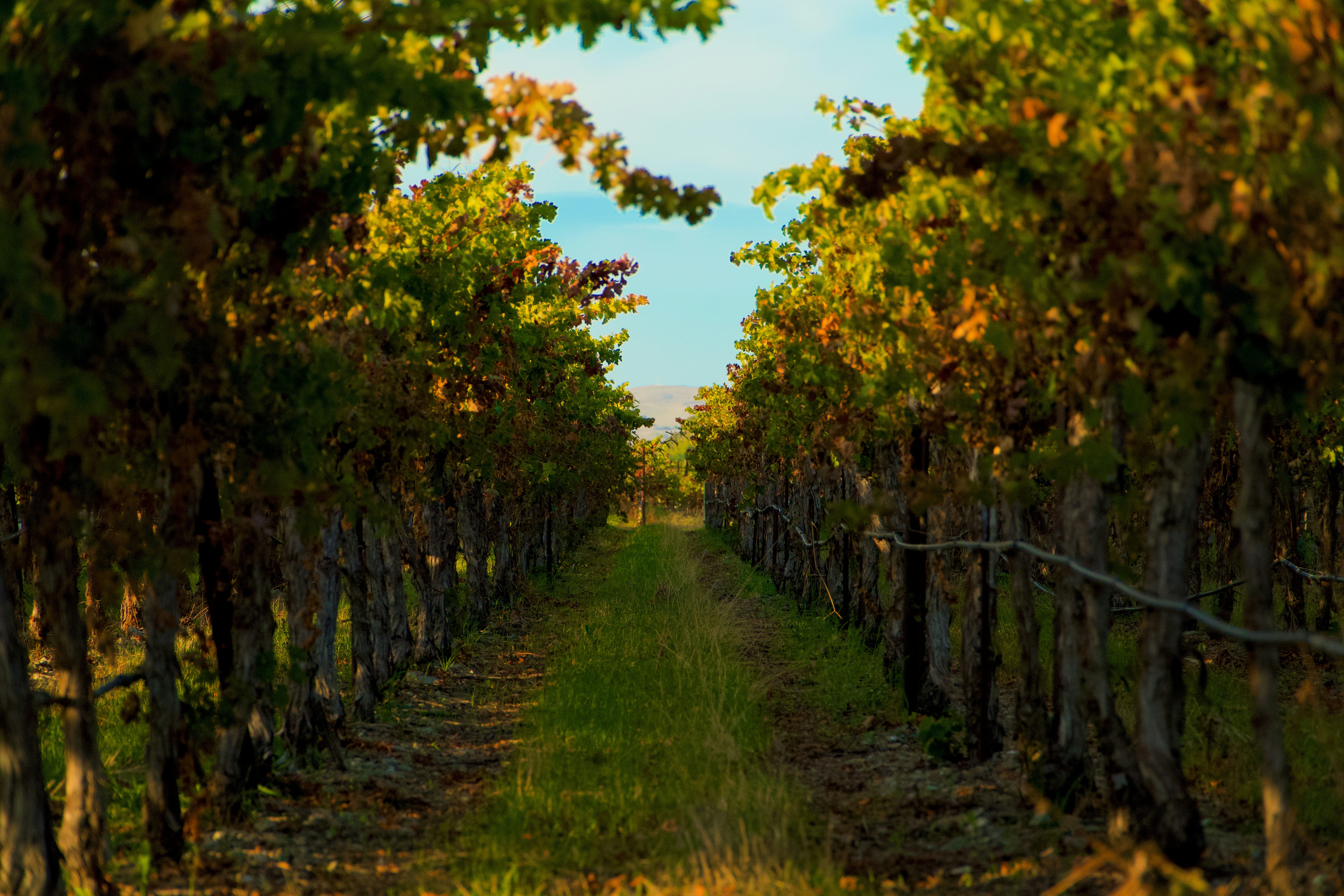 Photo by spencer_demera